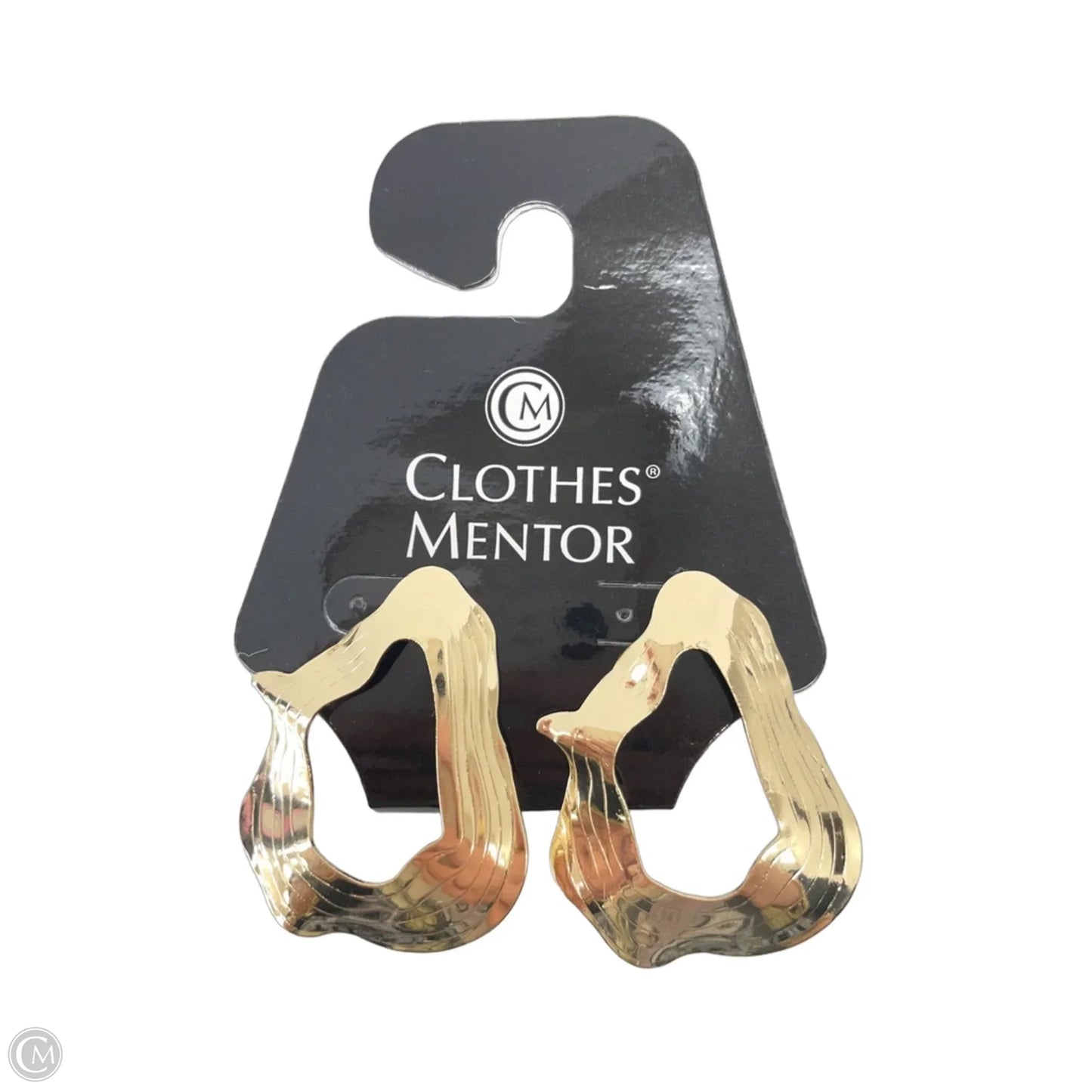 Earrings Dangle/drop By Clothes Mentor