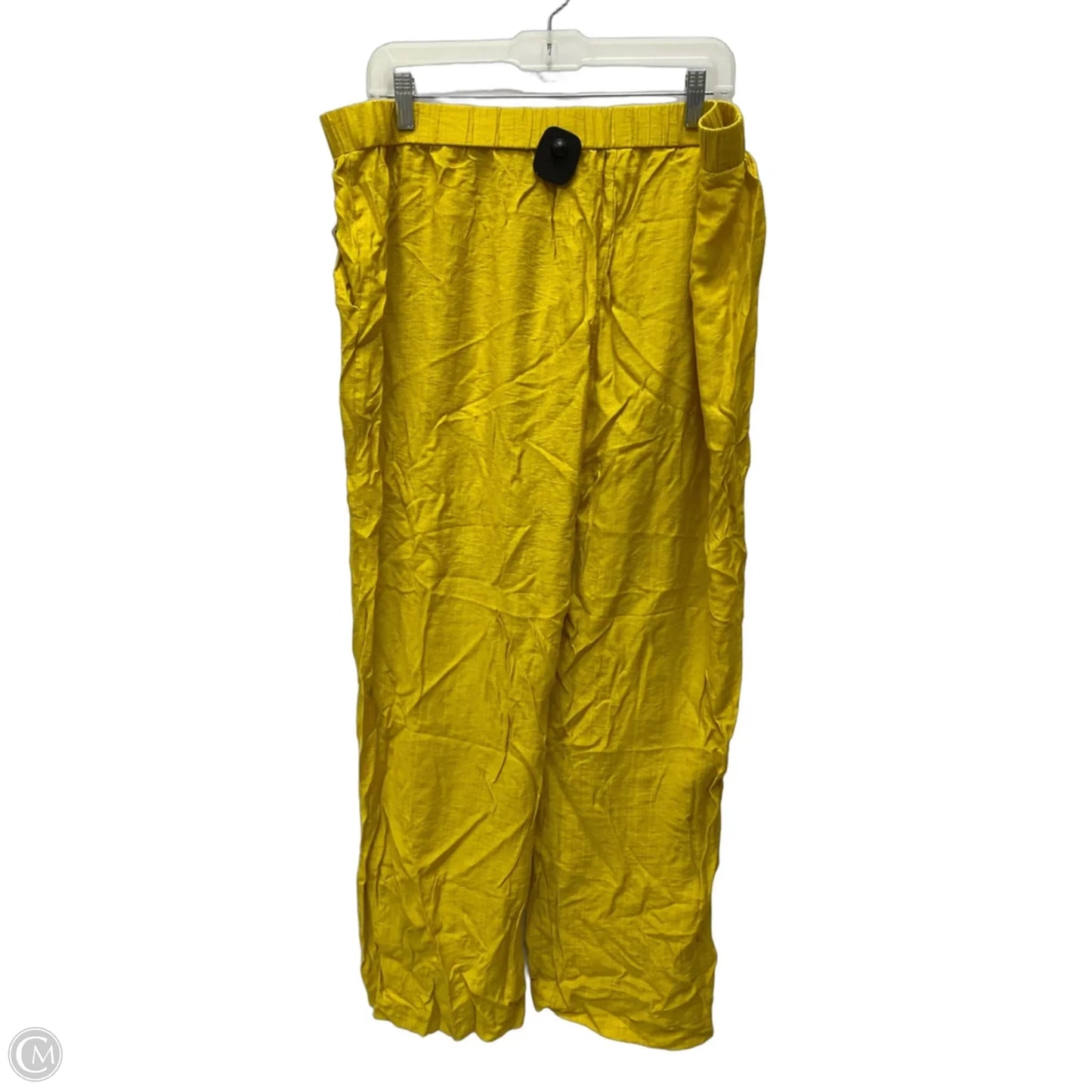 Pants Set 2pc By Shein In Yellow, Size: 2x