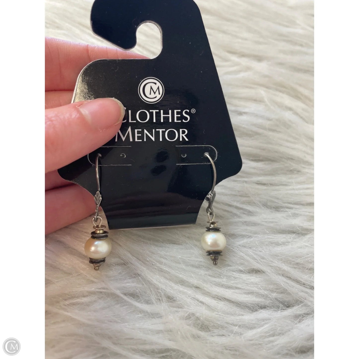 Earrings Dangle/drop By Clothes Mentor