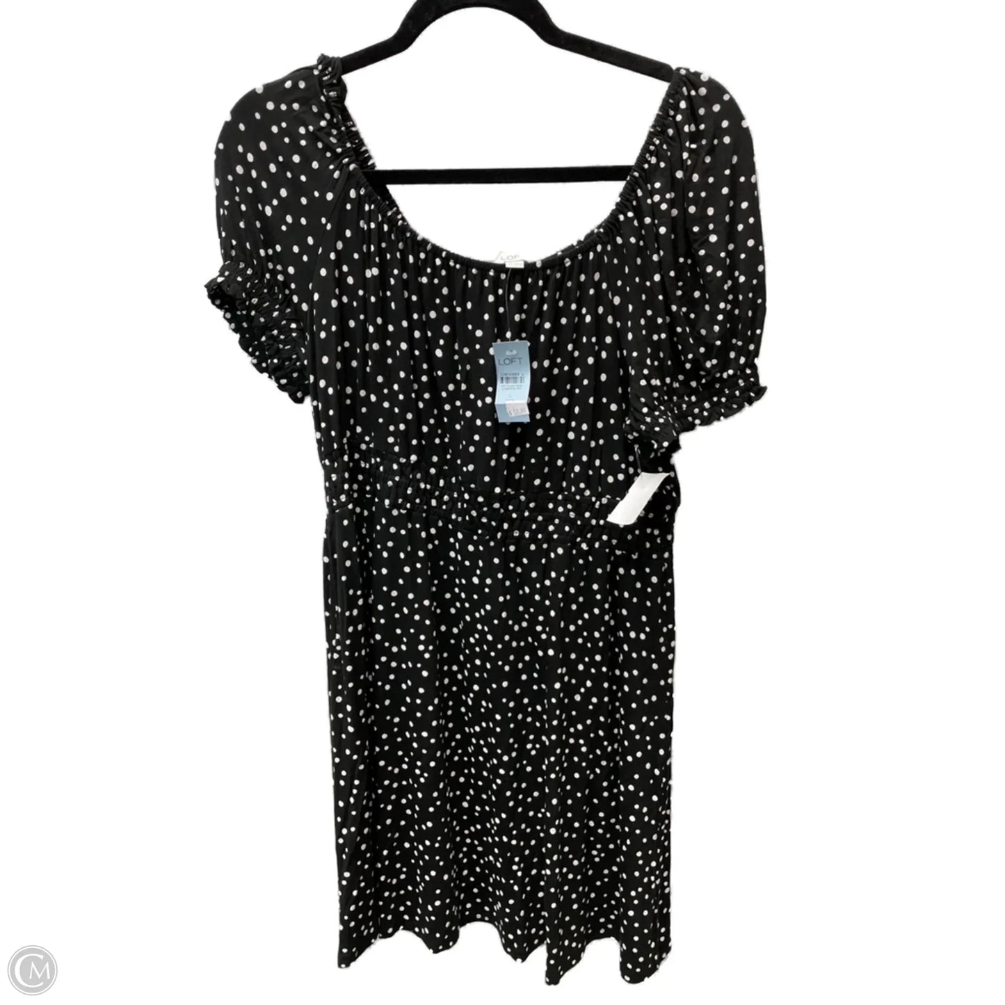 Dress Casual Short By Loft In Polkadot Pattern, Size: Lp