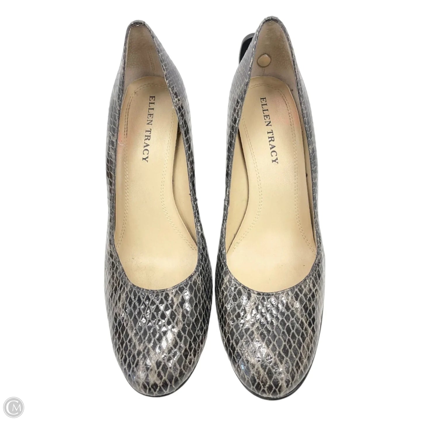 Shoes Heels Wedge By Ellen Tracy In Snakeskin Print, Size: 8.5