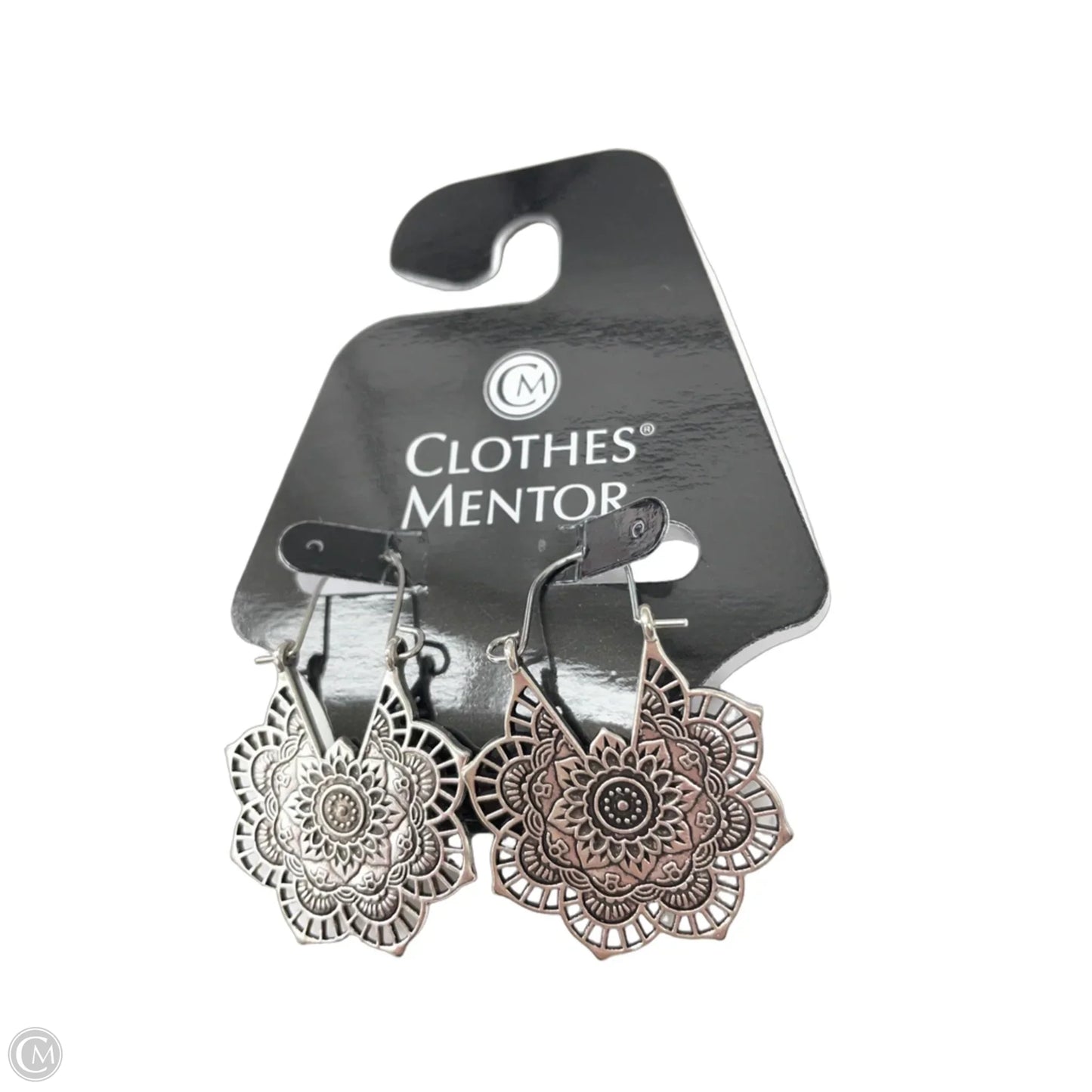 Earrings Dangle/drop By Clothes Mentor