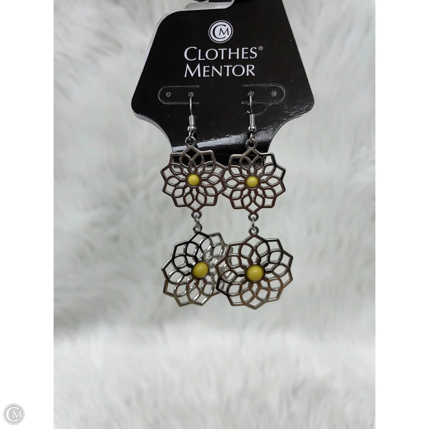 Earrings Dangle/drop By Clothes Mentor