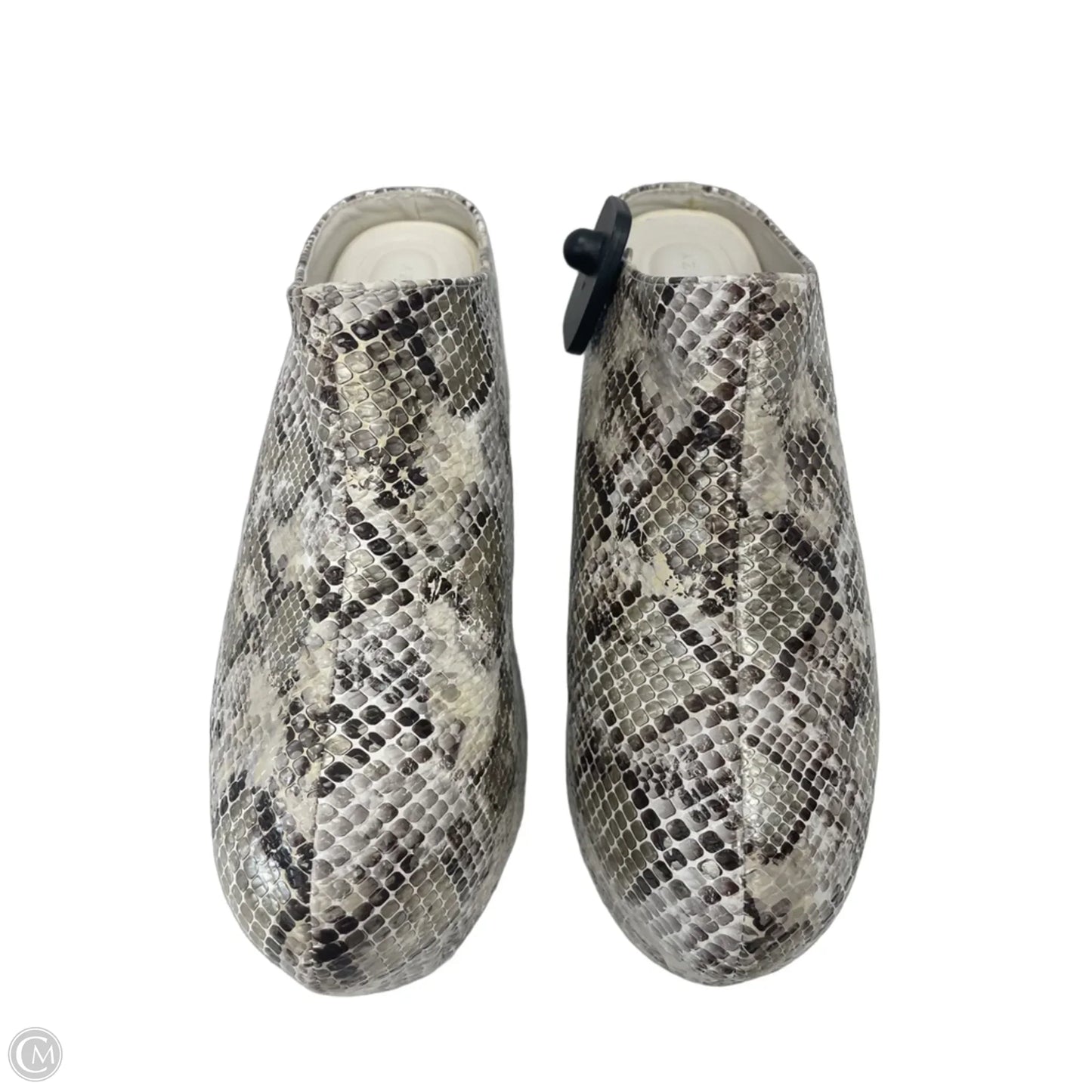 Shoes Heels Platform By Azalea Wang In Snakeskin Print, Size: 8