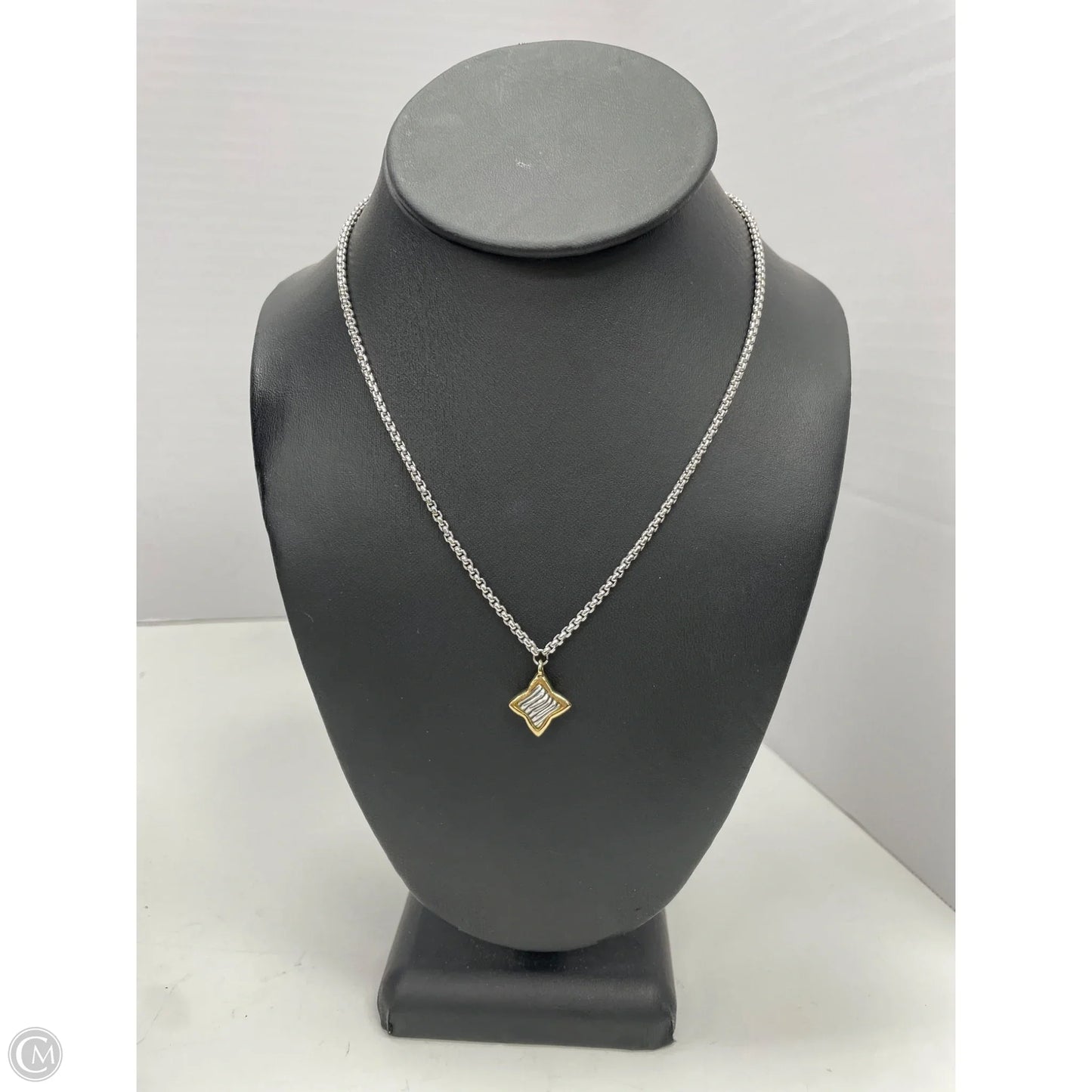 Necklace Chain By Clothes Mentor