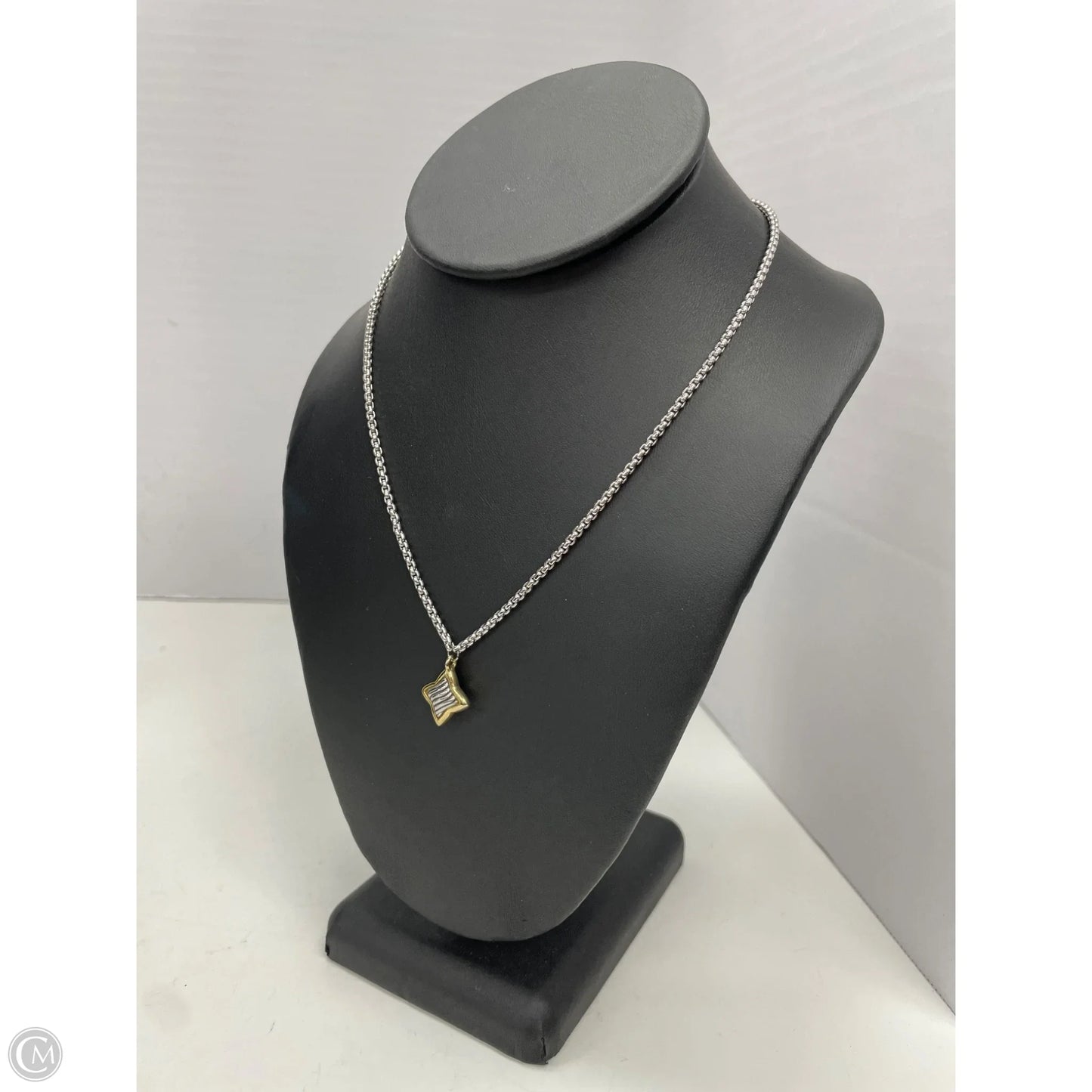 Necklace Chain By Clothes Mentor