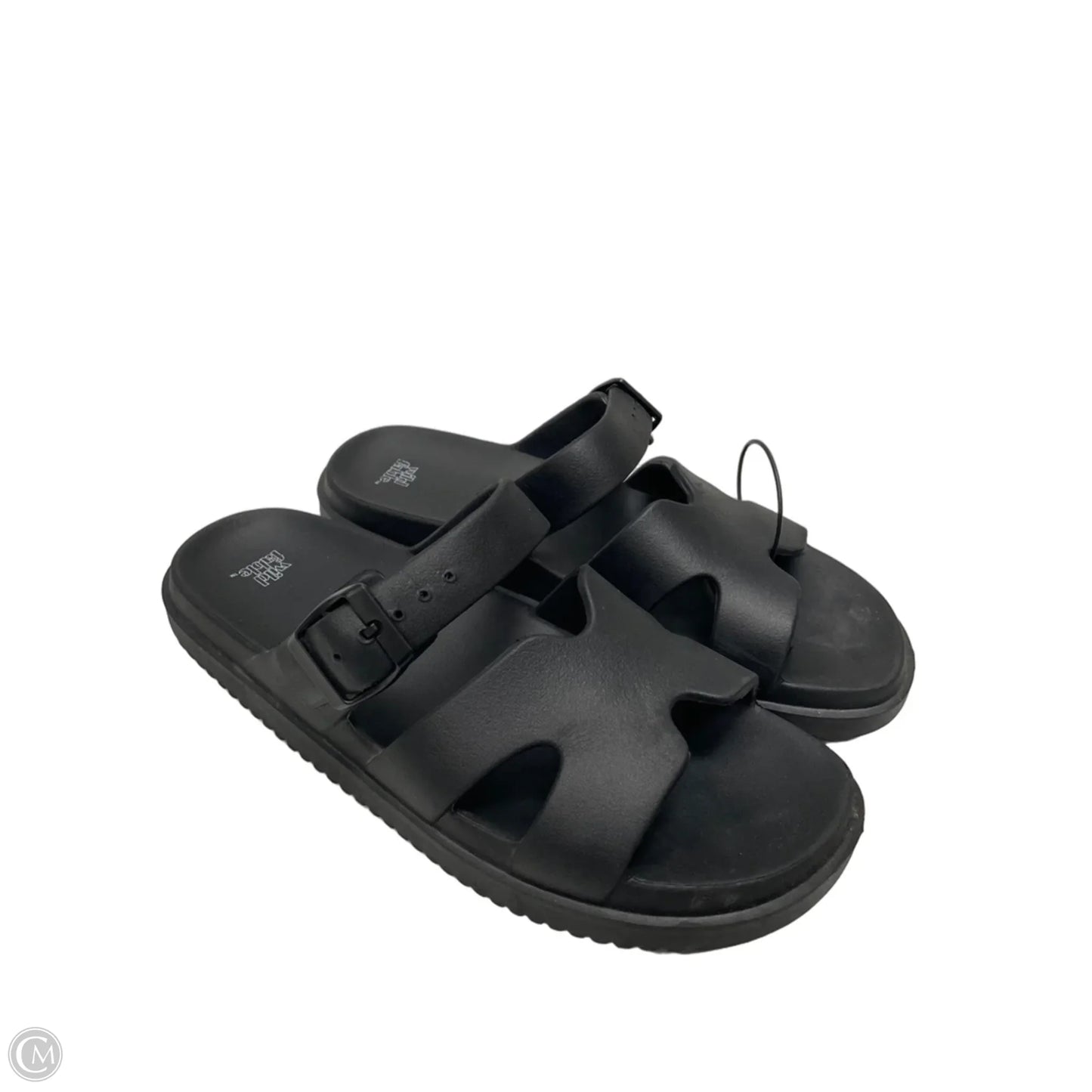 Sandals Flats By Wild Fable In Black, Size: 10