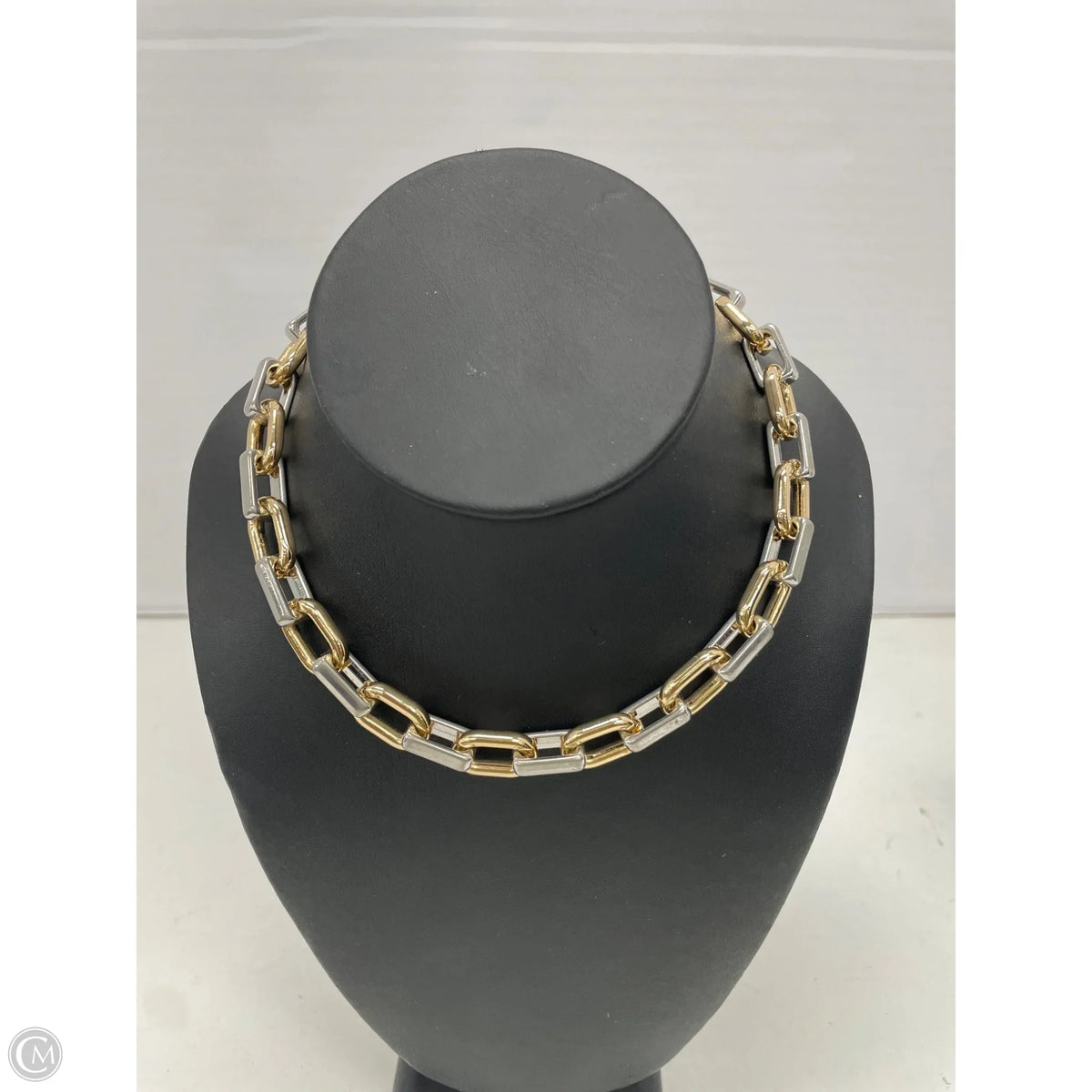Necklace Chain By Clothes Mentor