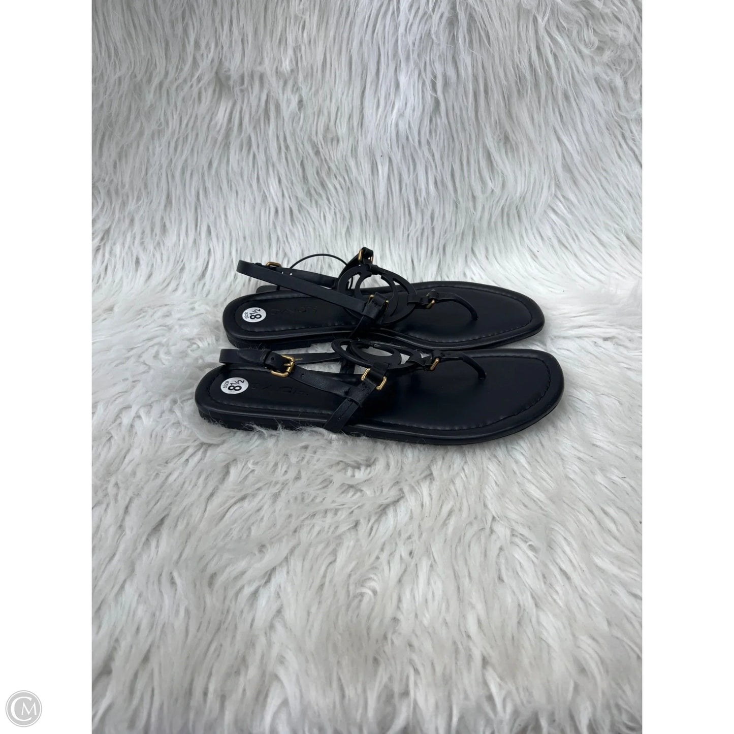 Sandals Designer By Coach In Black, Size: 8.5