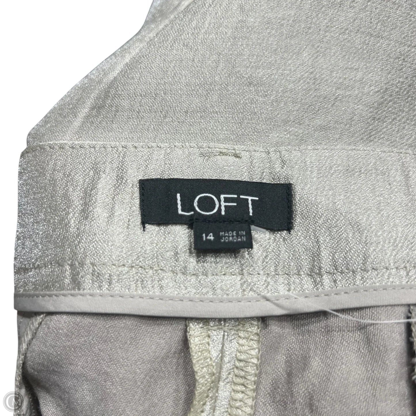 Shorts By Loft In Green, Size: 14
