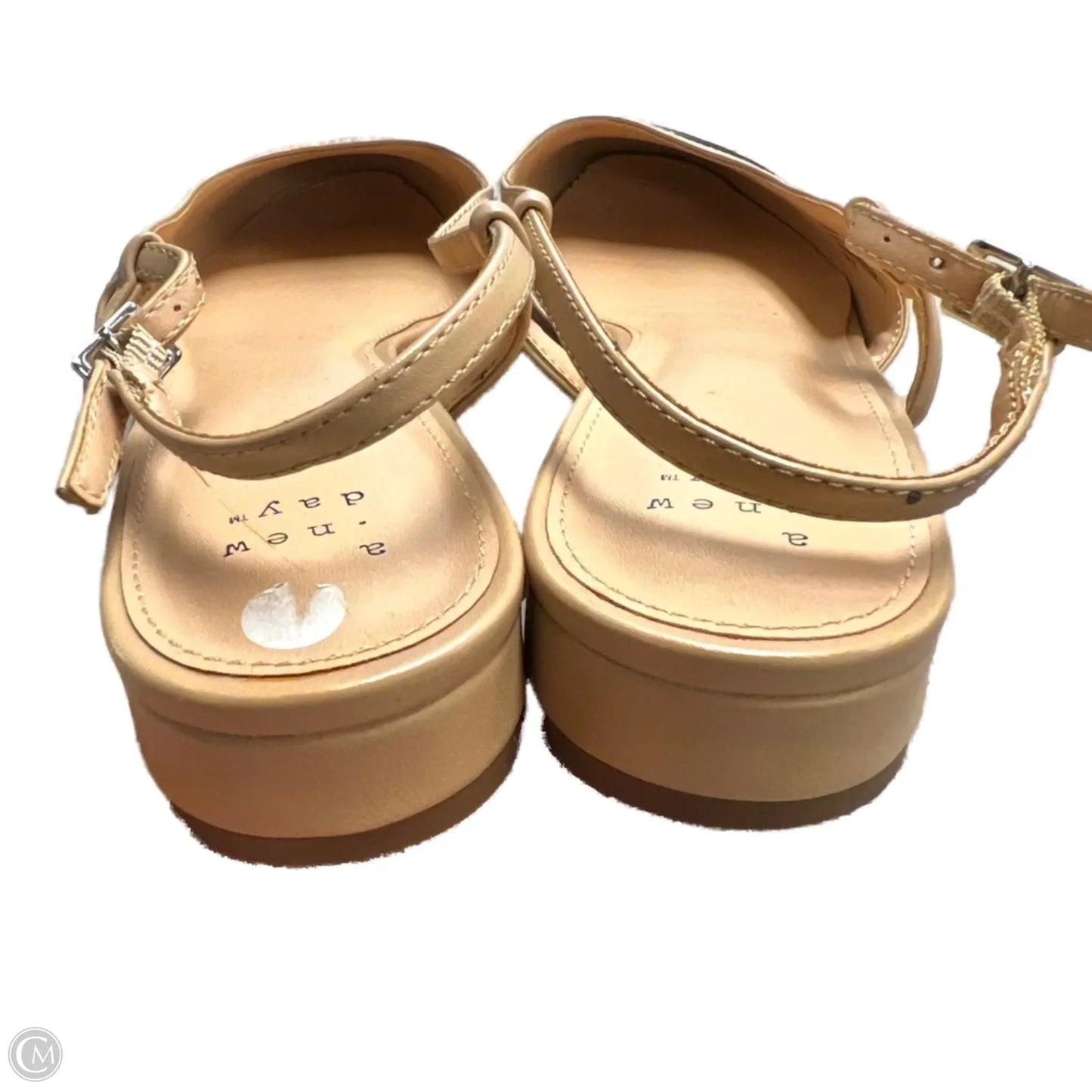 Shoes Heels Block By A New Day In Black & Tan, Size: 7