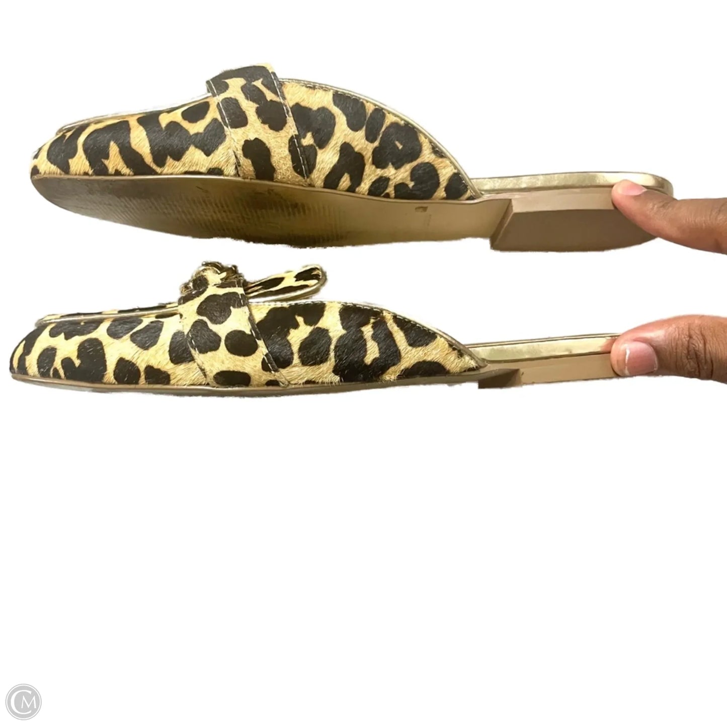 Shoes Designer By Lilly Pulitzer In Leopard Print, Size: 7