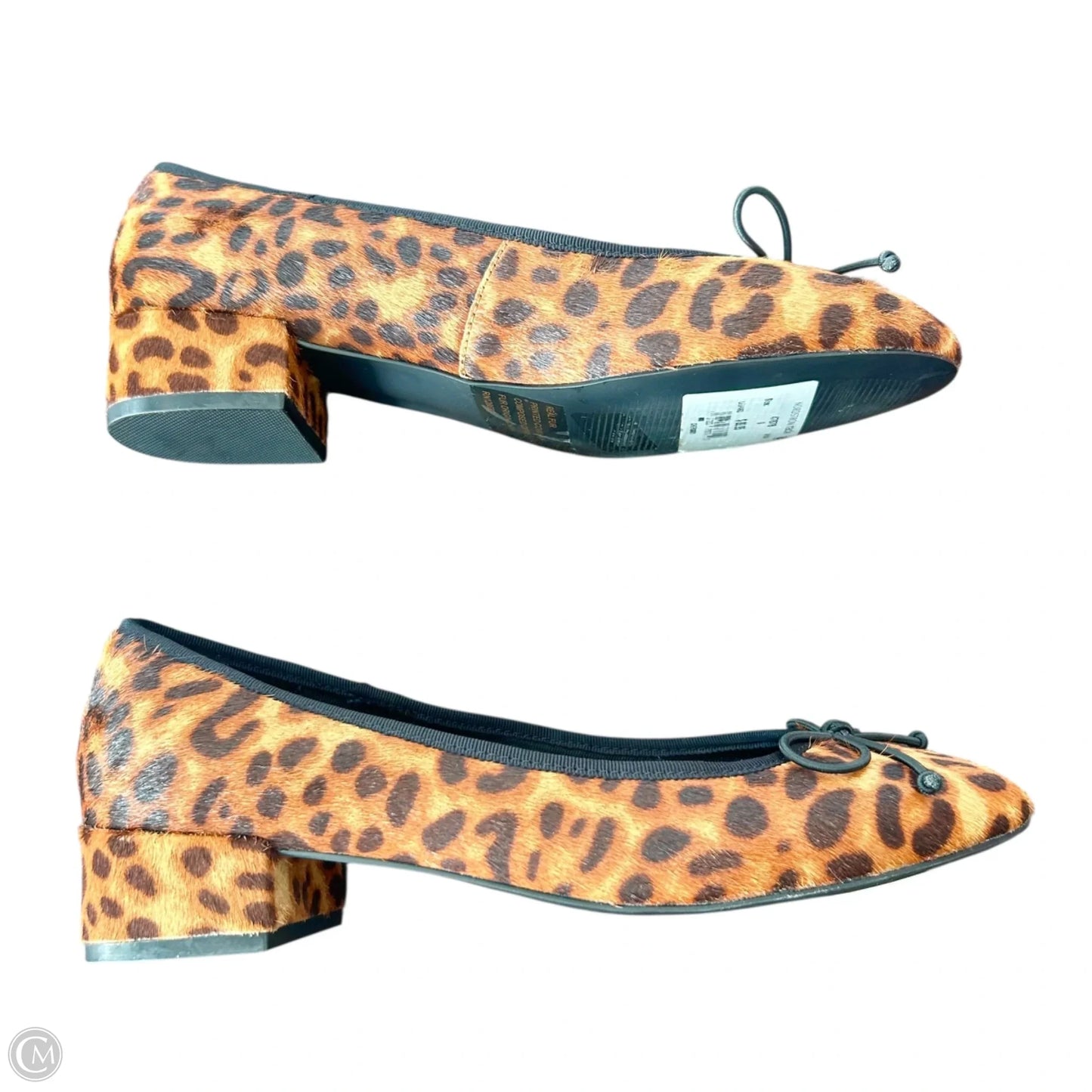 Shoes Heels Block By Steve Madden In Leopard Print, Size: 9