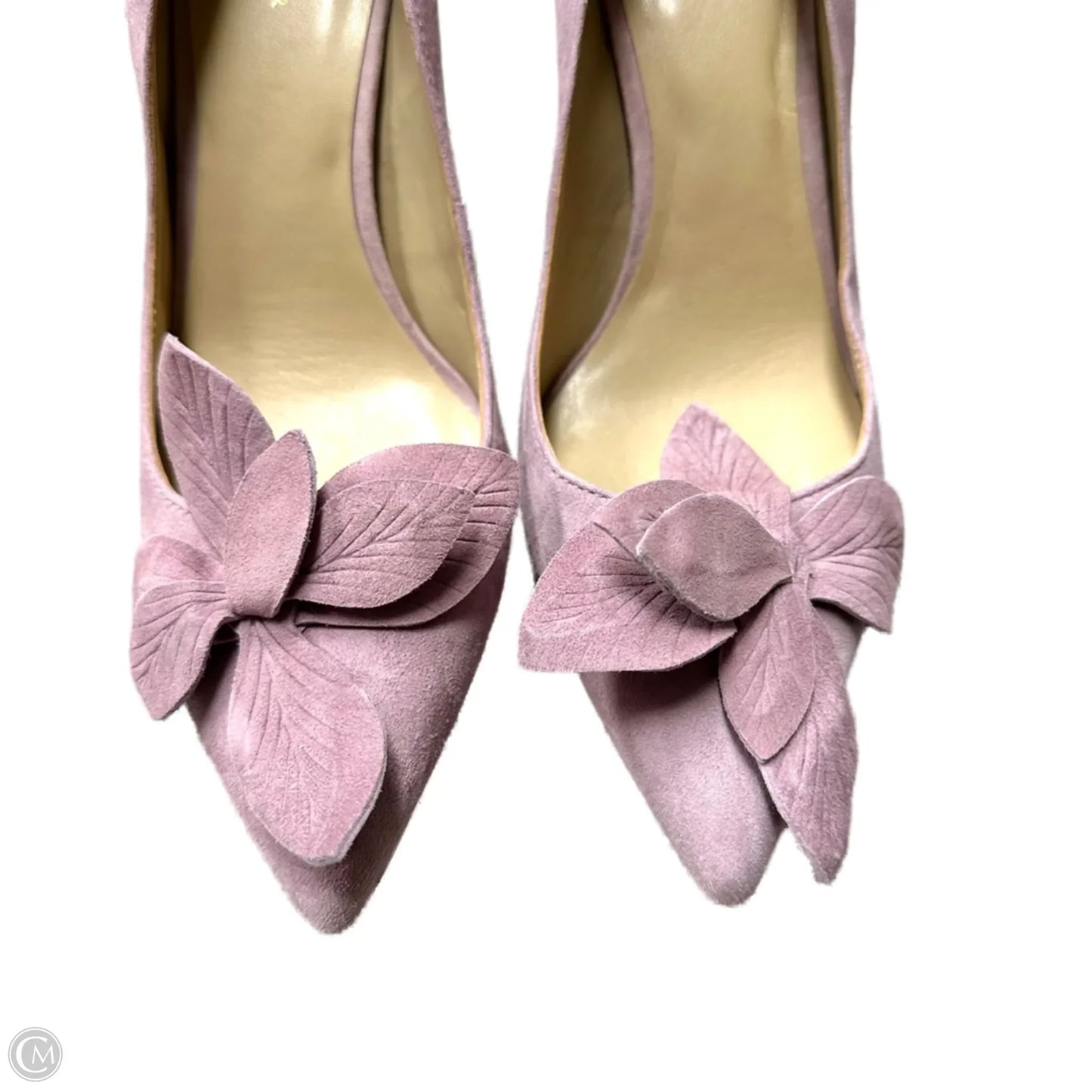Shoes Heels Stiletto By Ann Taylor In Purple, Size: 8.5
