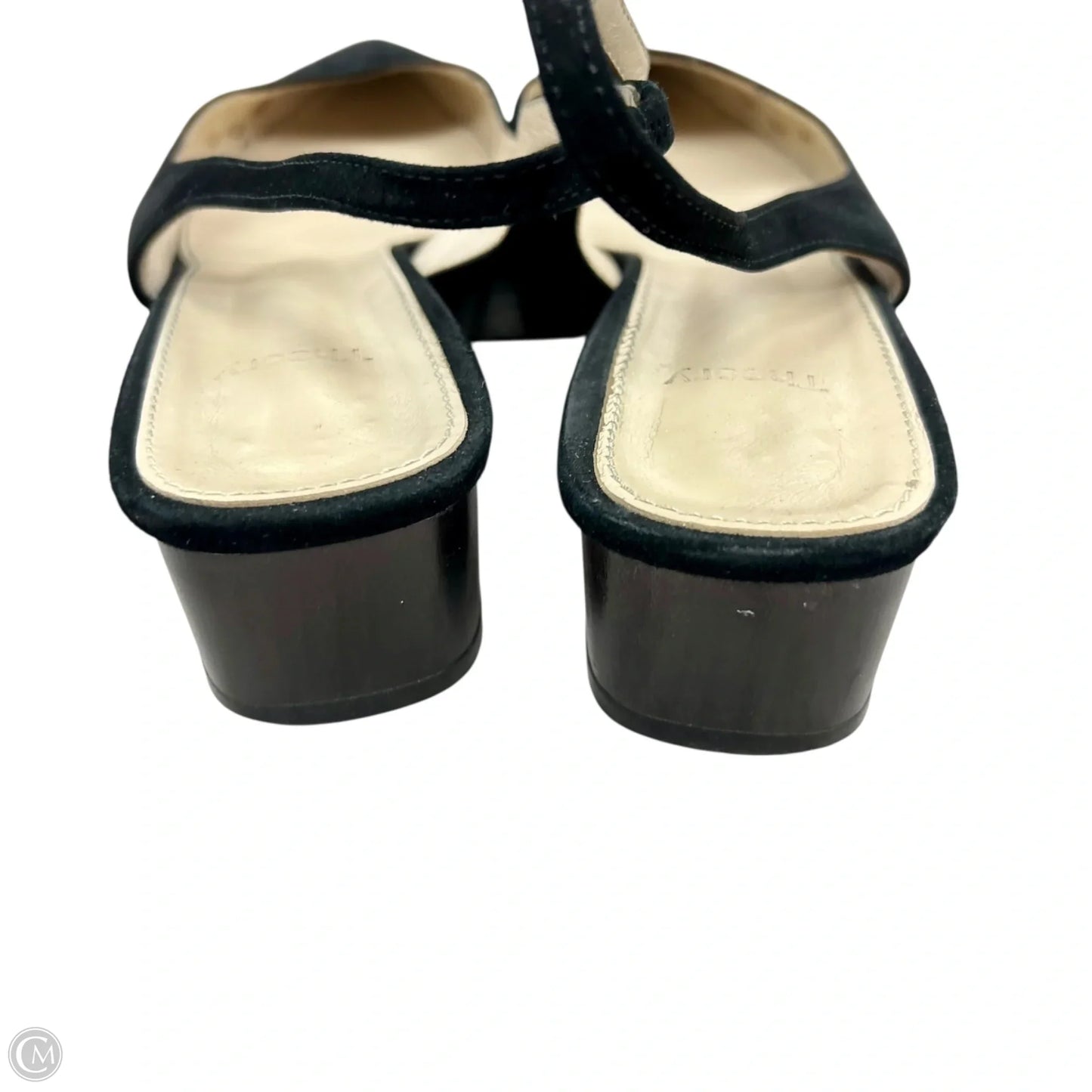 Shoes Heels Block By Theory In Black, Size: 9