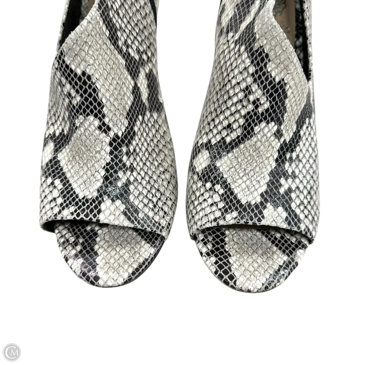 Sandals Heels Stiletto By Vince Camuto In Snakeskin Print, Size: 9