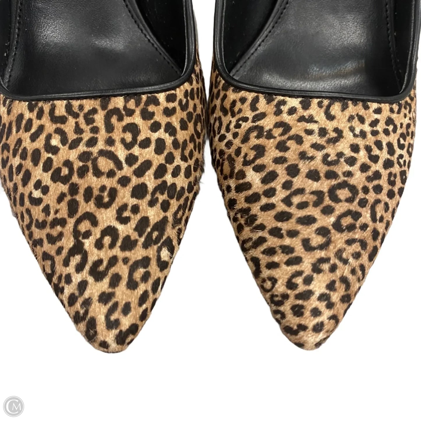 Shoes Heels Stiletto By Michael By Michael Kors In Leopard Print, Size: 7