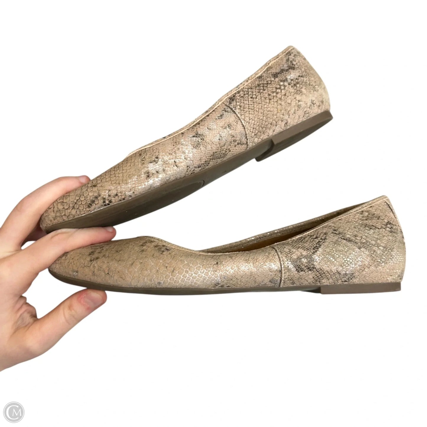 Shoes Flats By Vionic In Taupe, Size: 8