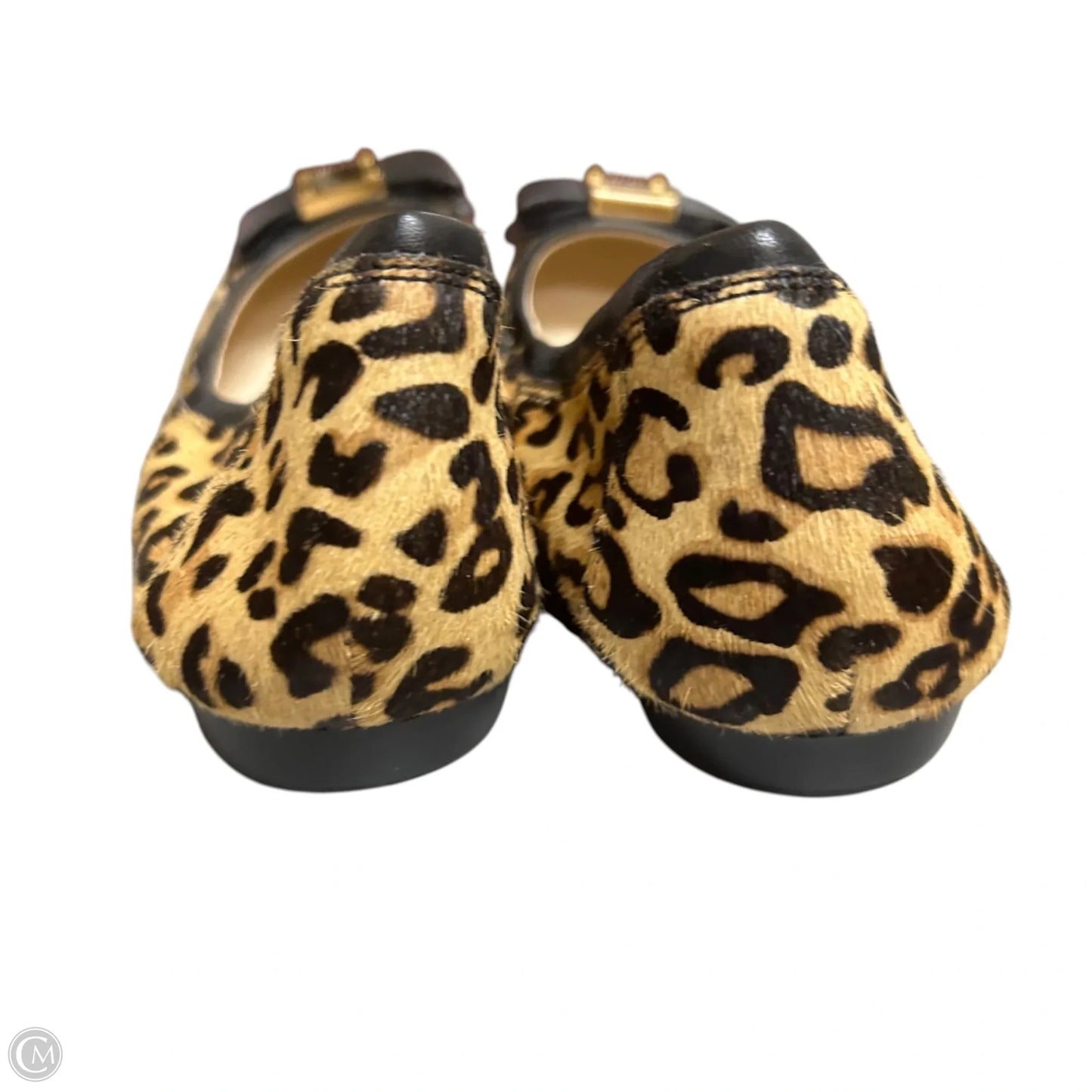 Shoes Flats By Cole-haan In Leopard Print, Size: 7