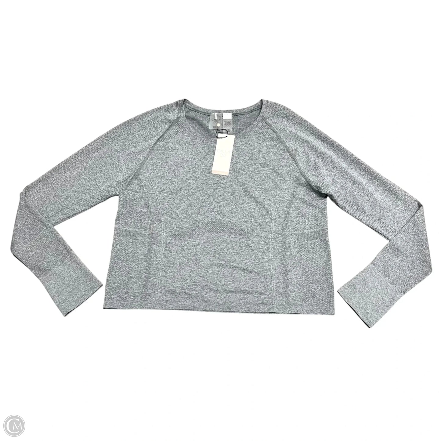 Athletic Top Long Sleeve Crewneck By Calia In Grey, Size: 2x