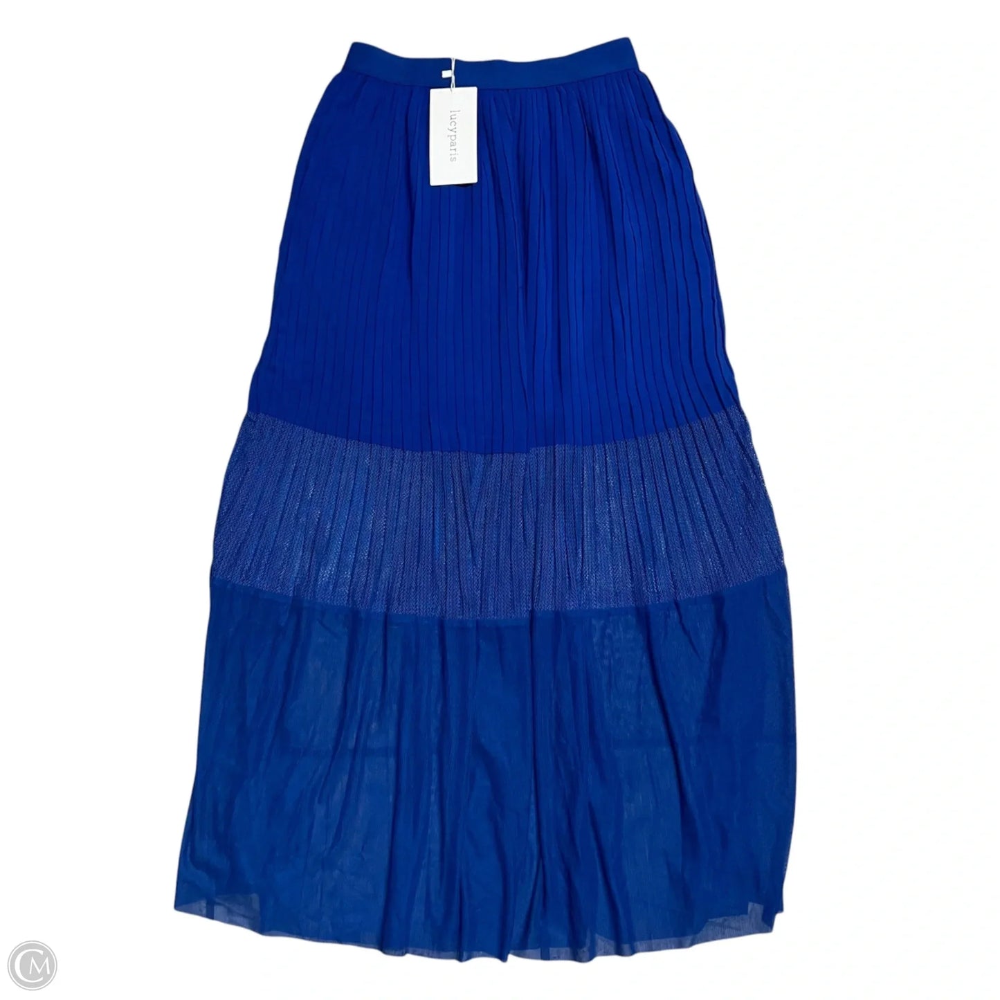 Skirt Maxi By Lucy Paris In Blue, Size: 4