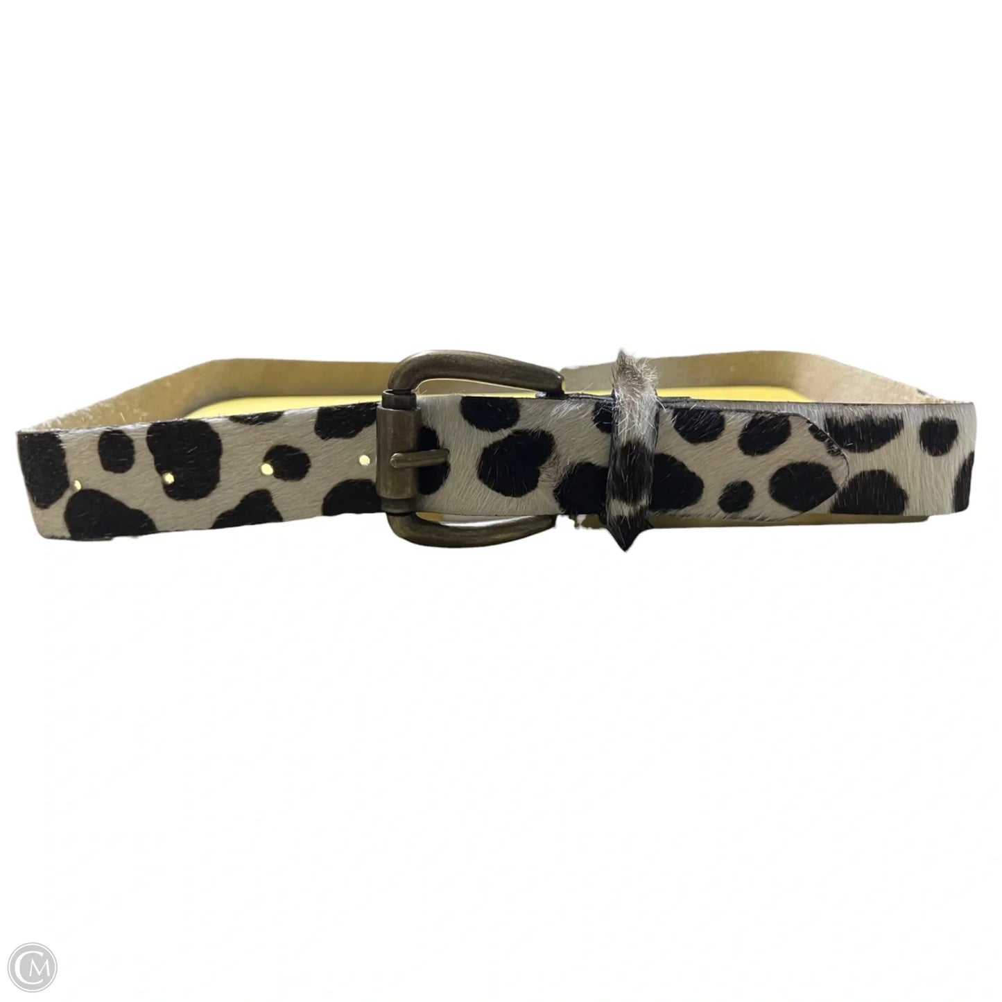 Belt, Size: Medium