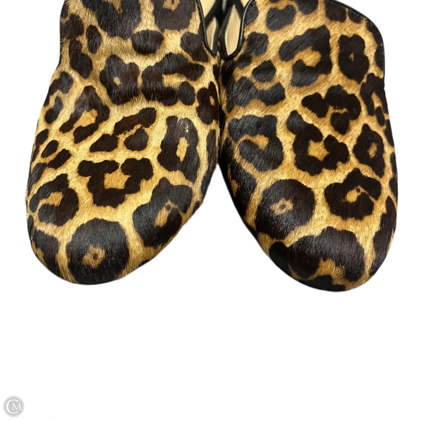Shoes Flats By Michael By Michael Kors In Leopard Print, Size: 8