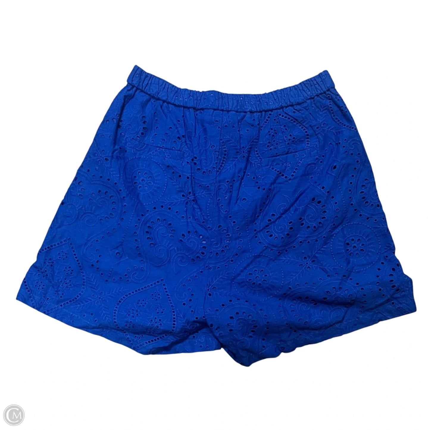 Shorts By Molly Bracken In Blue, Size: 4