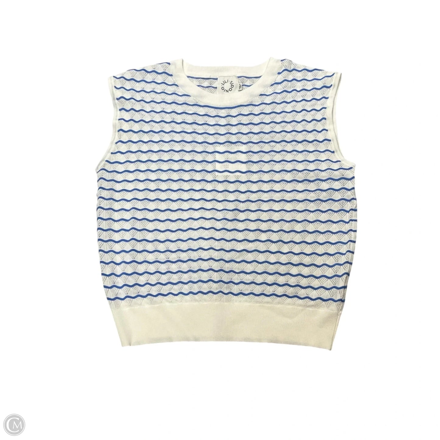 Top Sleeveless By Lili Sidonio In Blue & White, Size: Xl