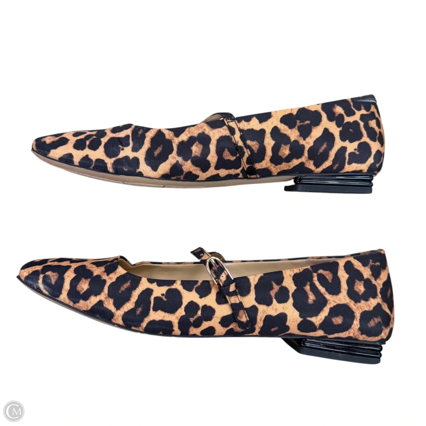 Shoes Flats By Franco Sarto In Leopard Print, Size: 10