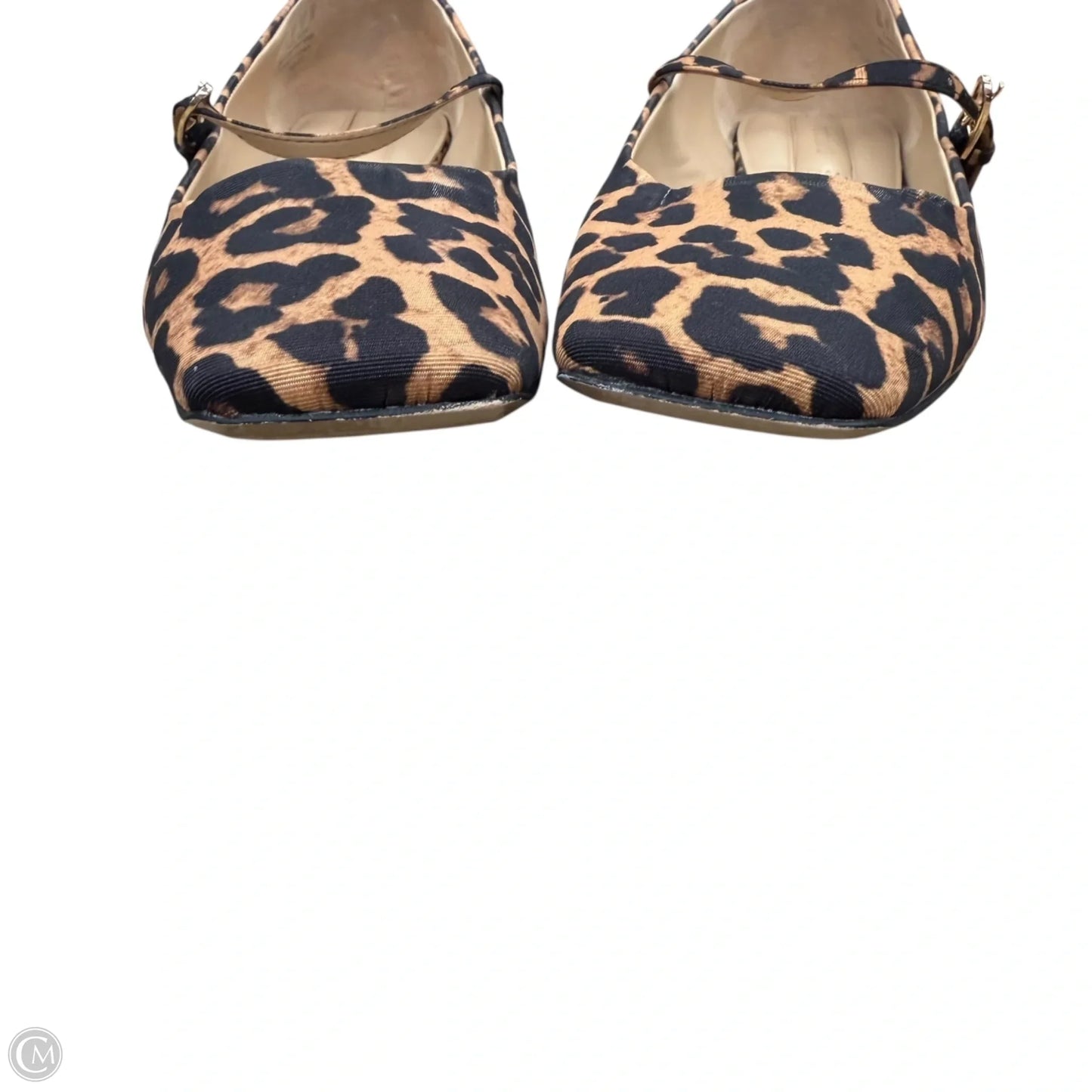Shoes Flats By Franco Sarto In Leopard Print, Size: 10