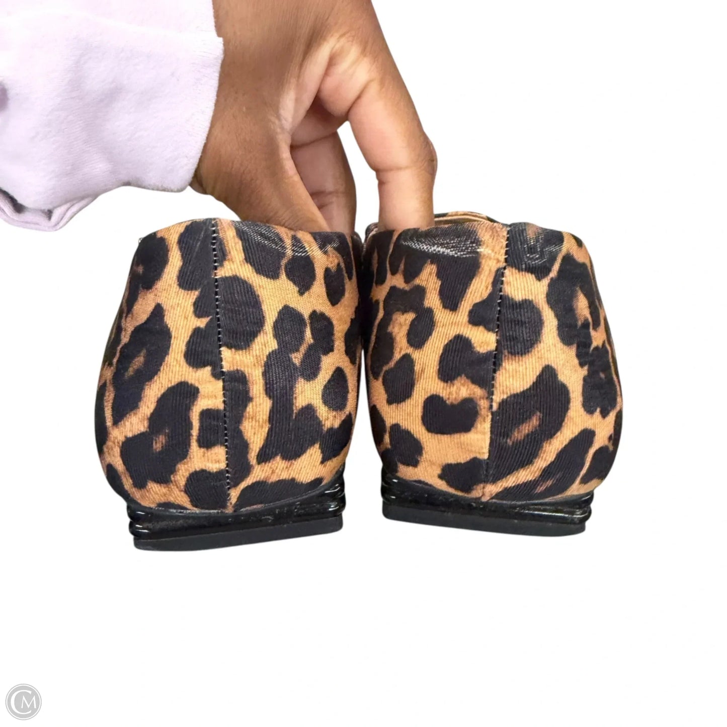 Shoes Flats By Franco Sarto In Leopard Print, Size: 10