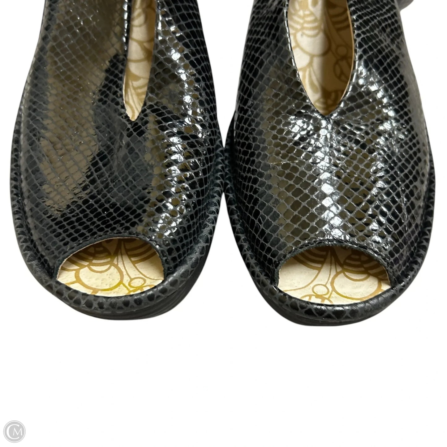 Shoes Heels Block By Fly London In Black, Size: 8.5