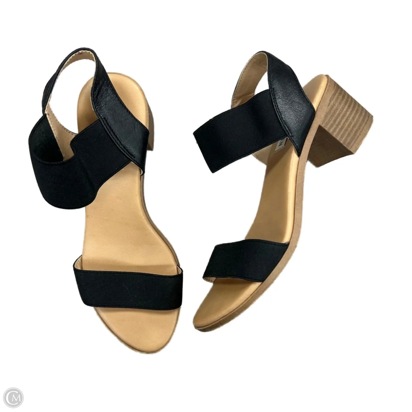 Shoes Heels Block By Steve Madden In Black, Size: 6.5