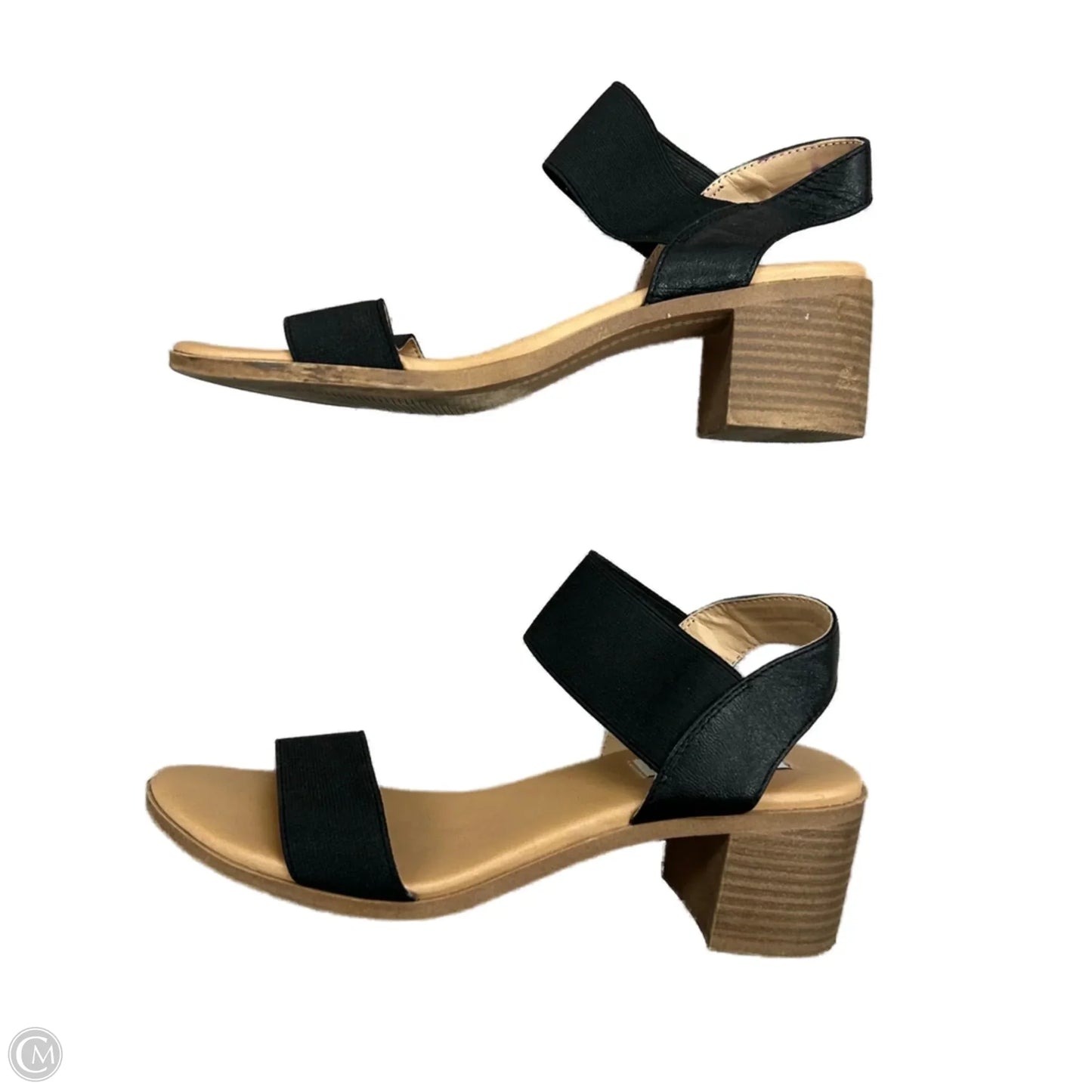 Shoes Heels Block By Steve Madden In Black, Size: 6.5