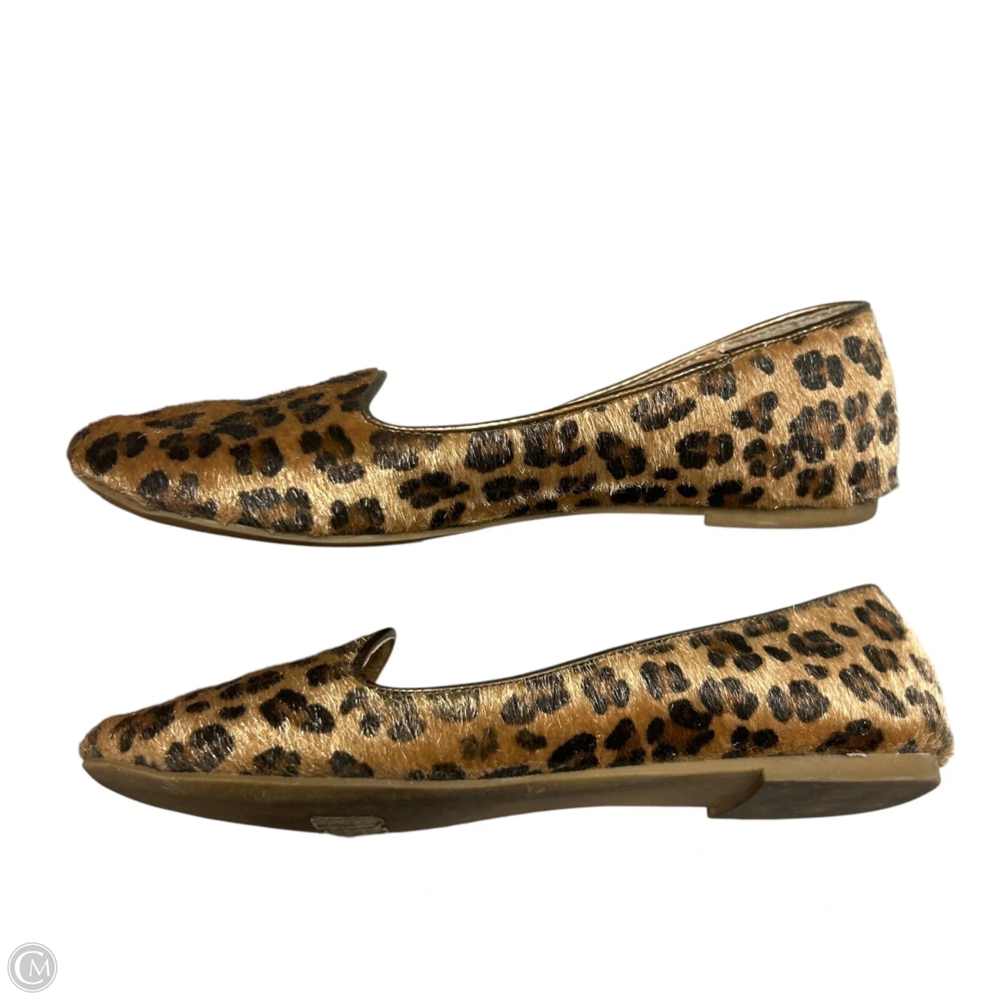 Shoes Flats By Nature Breeze In Animal Print, Size: 7