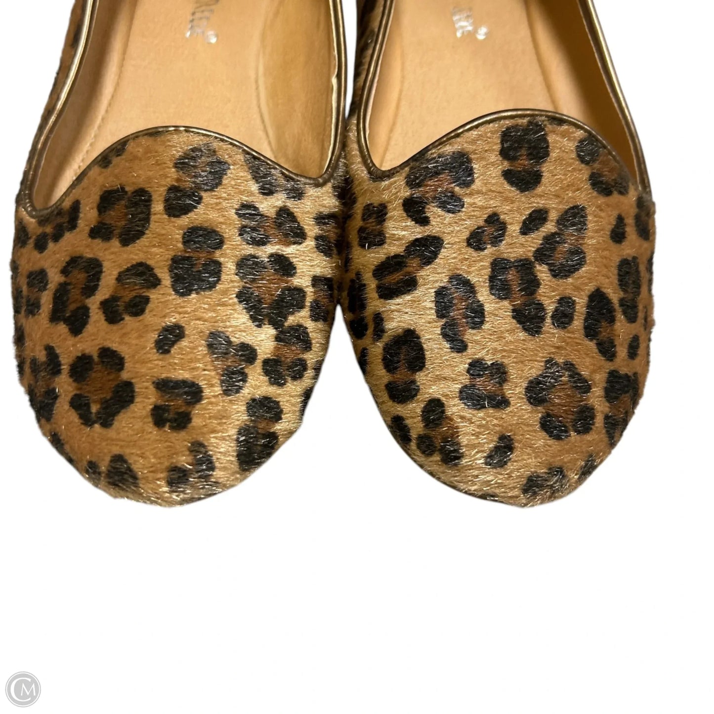 Shoes Flats By Nature Breeze In Animal Print, Size: 7