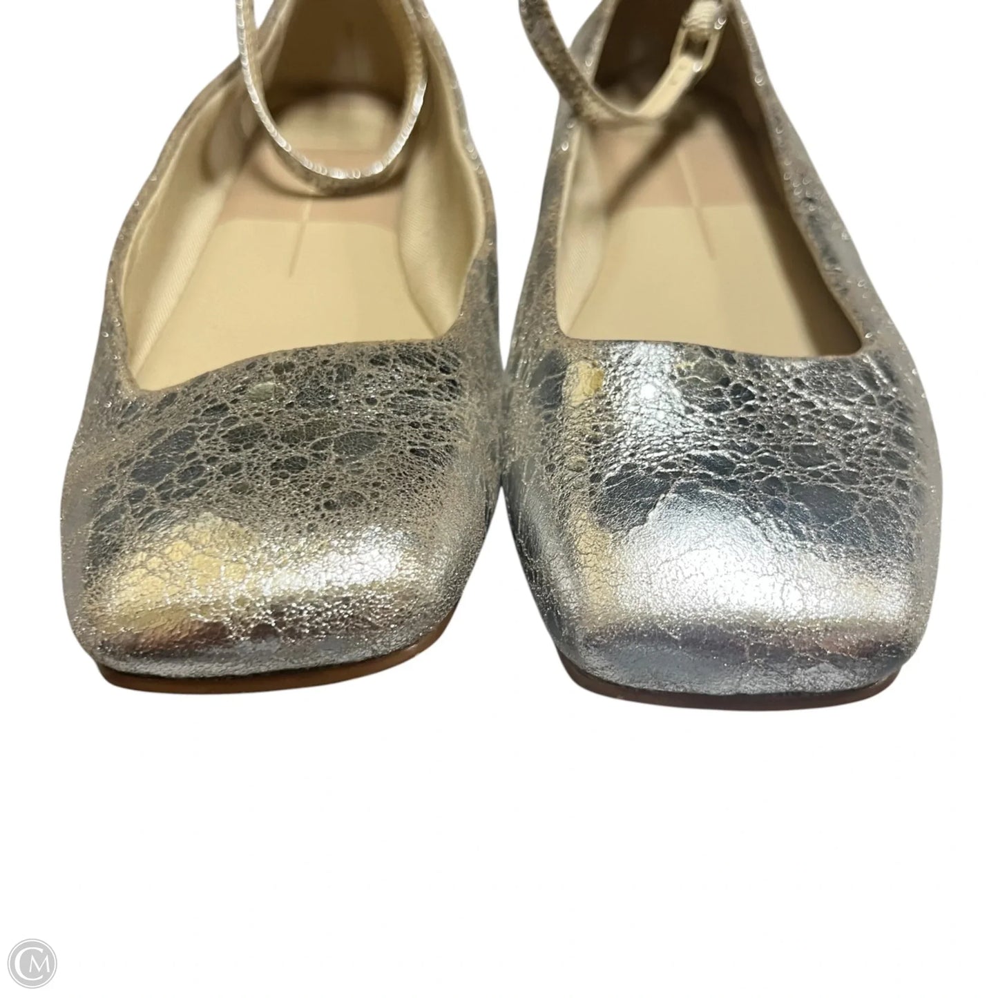 Shoes Flats By Dolce Vita In Silver, Size: 9