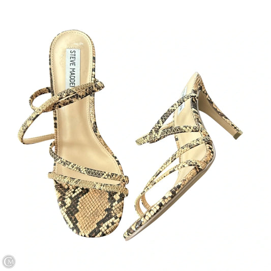 Sandals Heels Kitten By Steve Madden In Snakeskin Print, Size: 7.5
