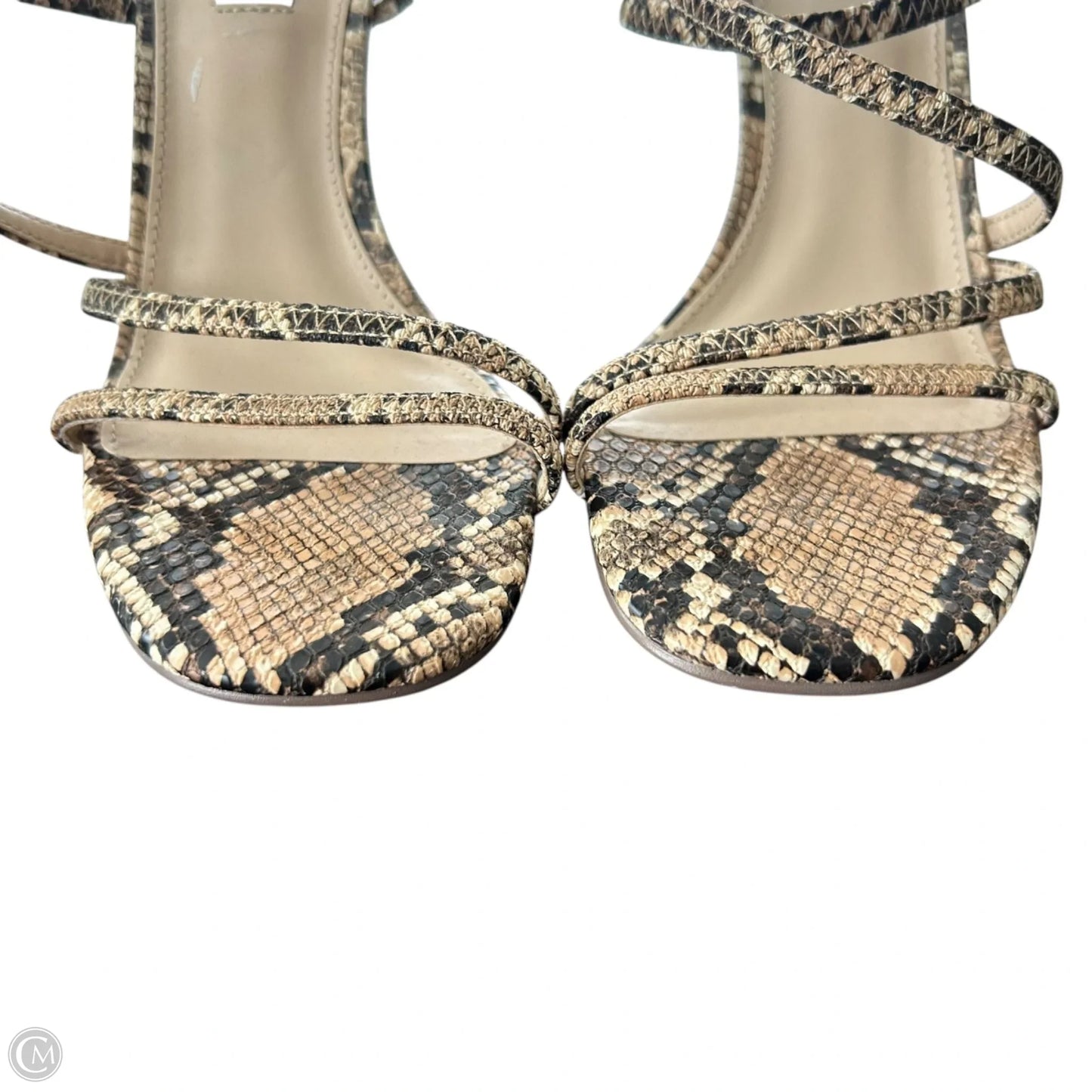 Sandals Heels Kitten By Steve Madden In Snakeskin Print, Size: 7.5