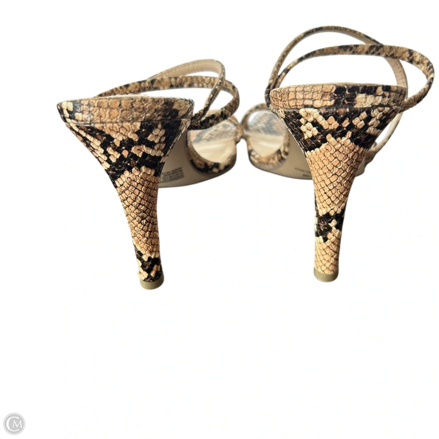 Sandals Heels Kitten By Steve Madden In Snakeskin Print, Size: 7.5