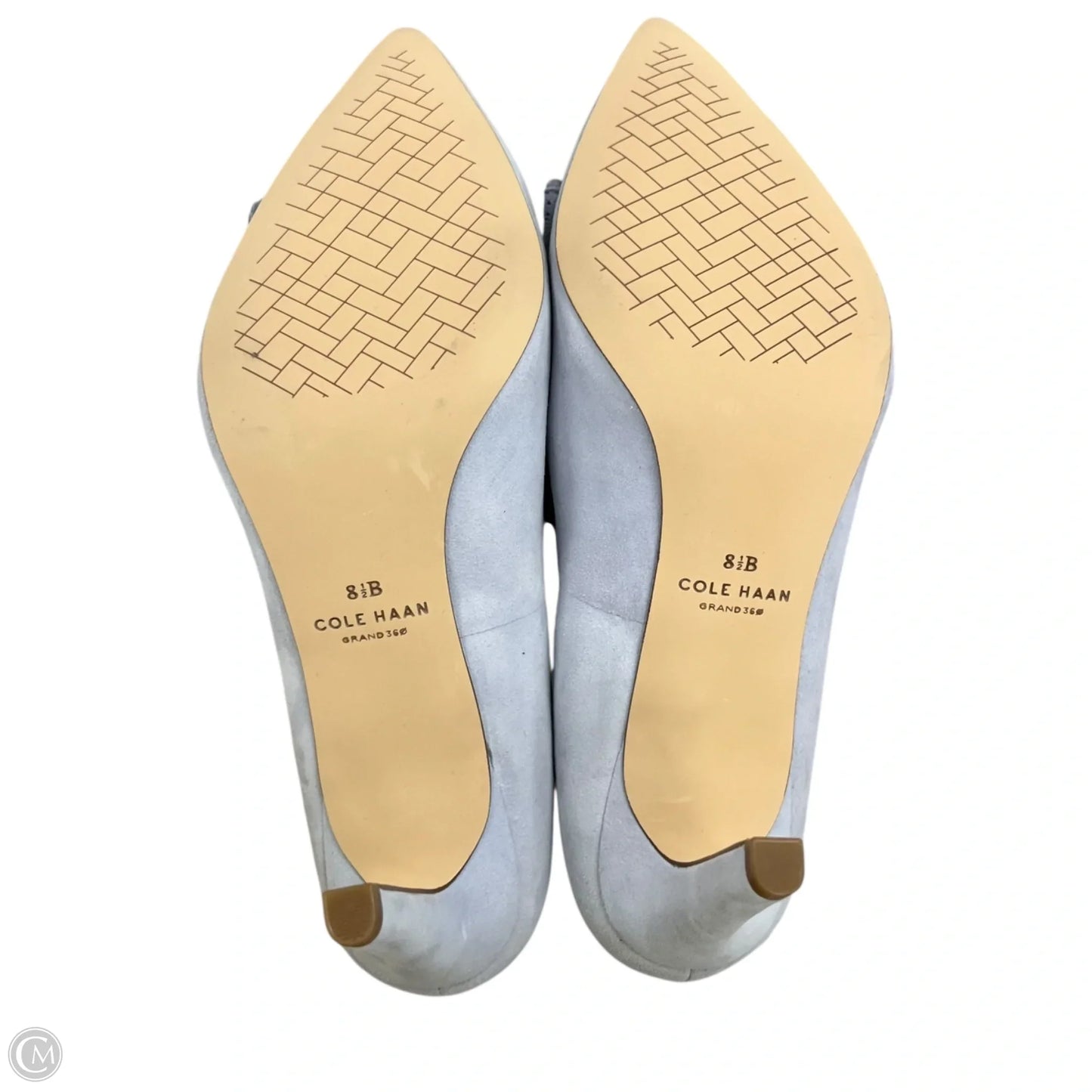 Shoes Heels Stiletto By Cole-haan In Blue, Size: 8.5