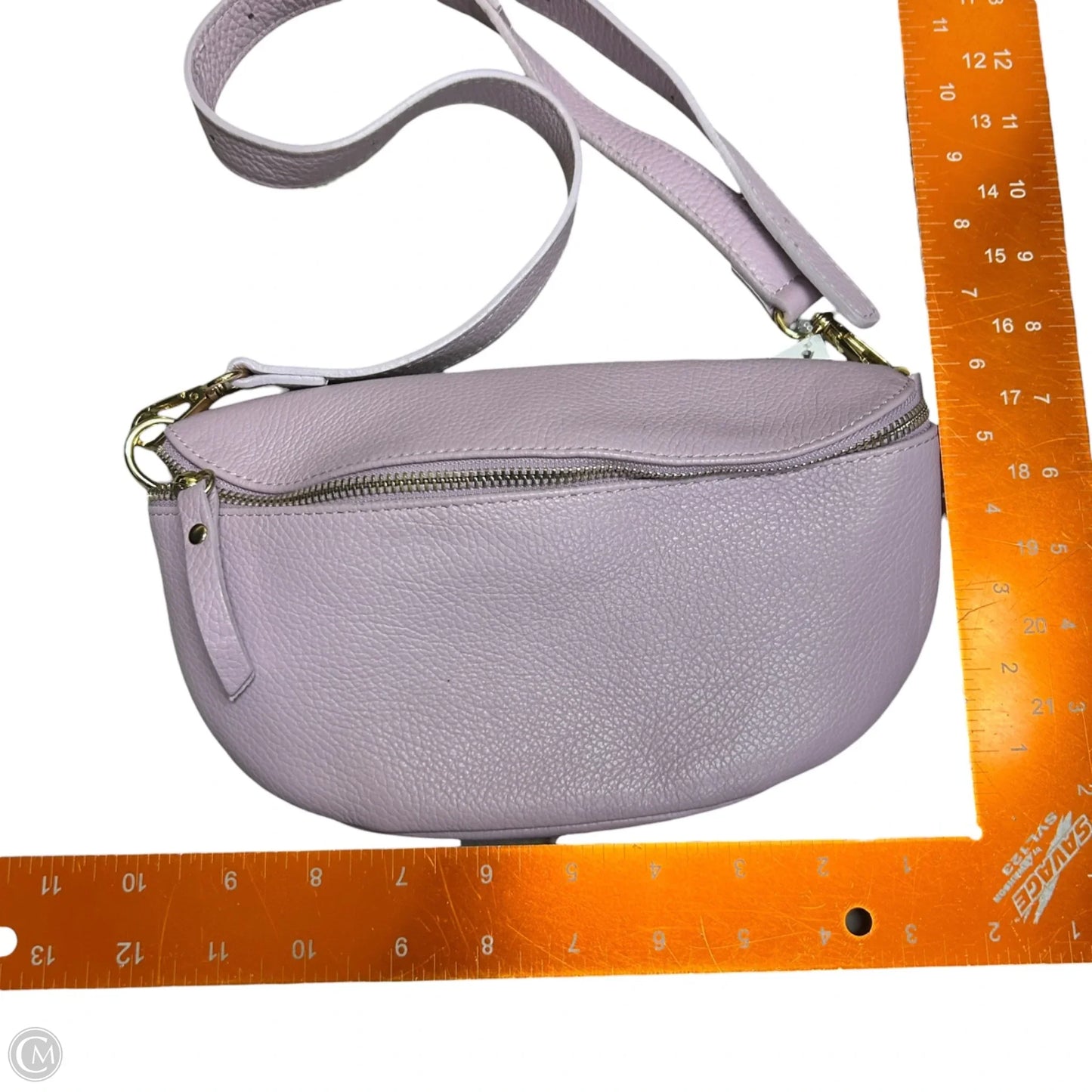 Belt Bag Leather, Size: Medium