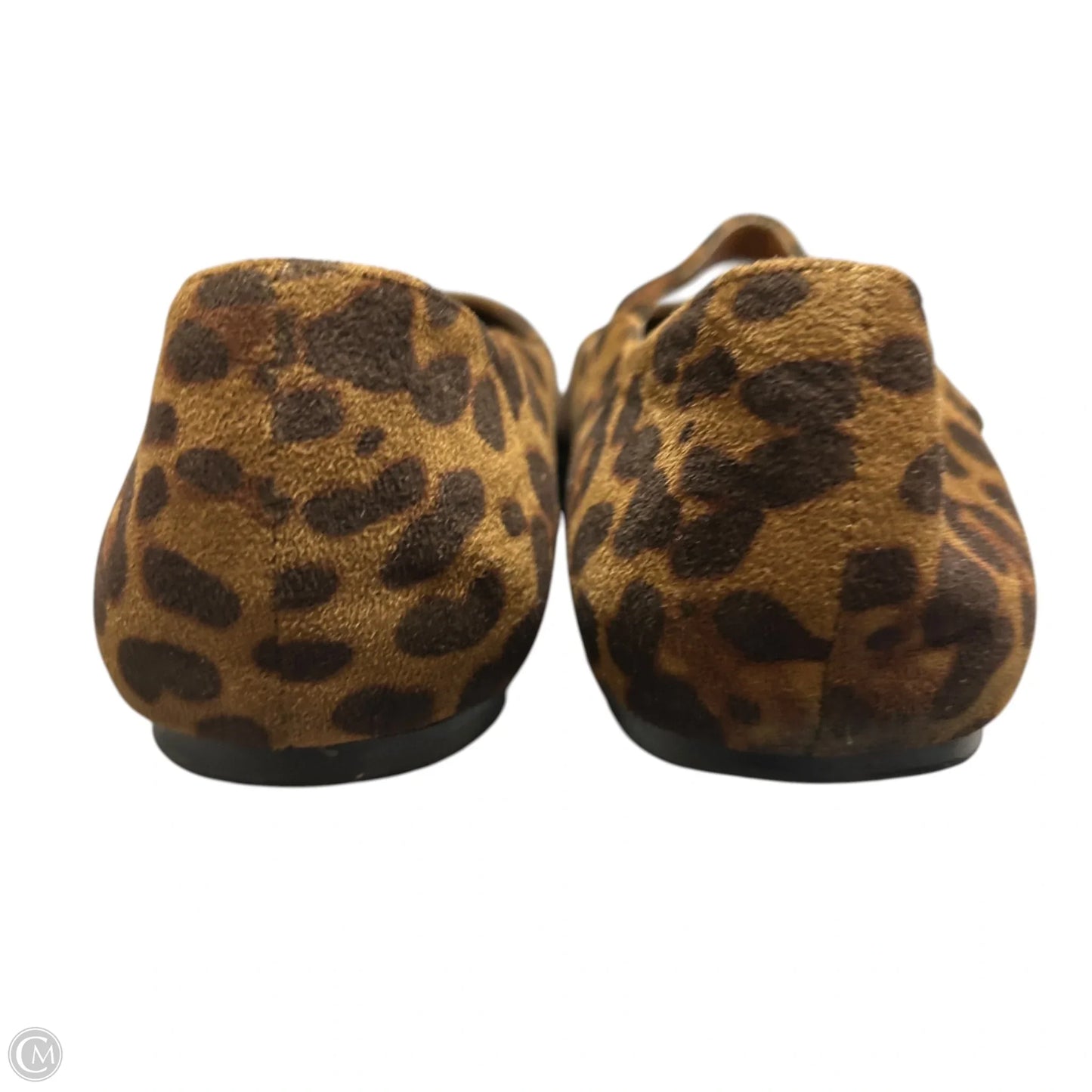 Shoes Flats By Cider In Animal Print, Size: 10.5