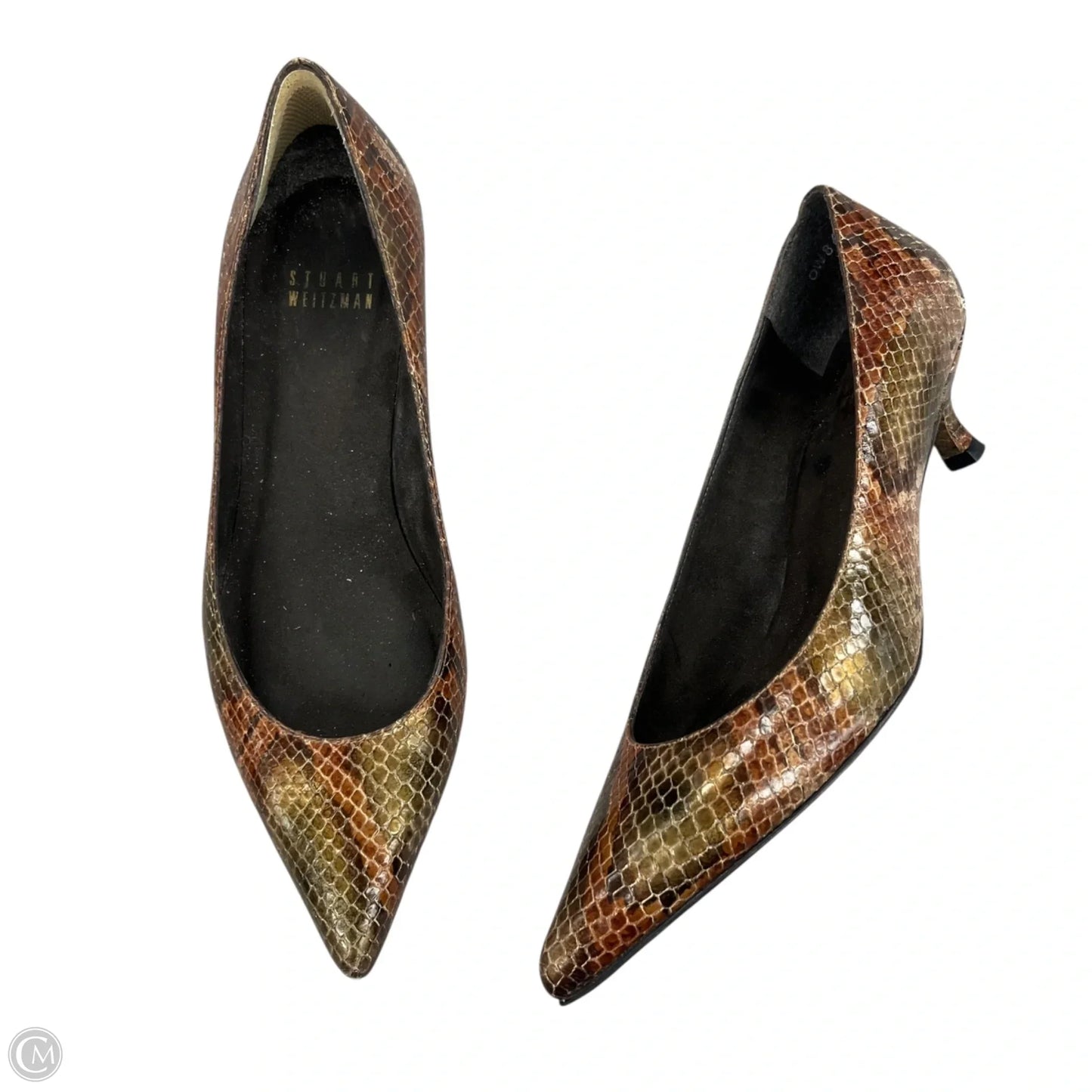 Shoes Designer By Stuart Weitzman In Snakeskin Print, Size: 5.5