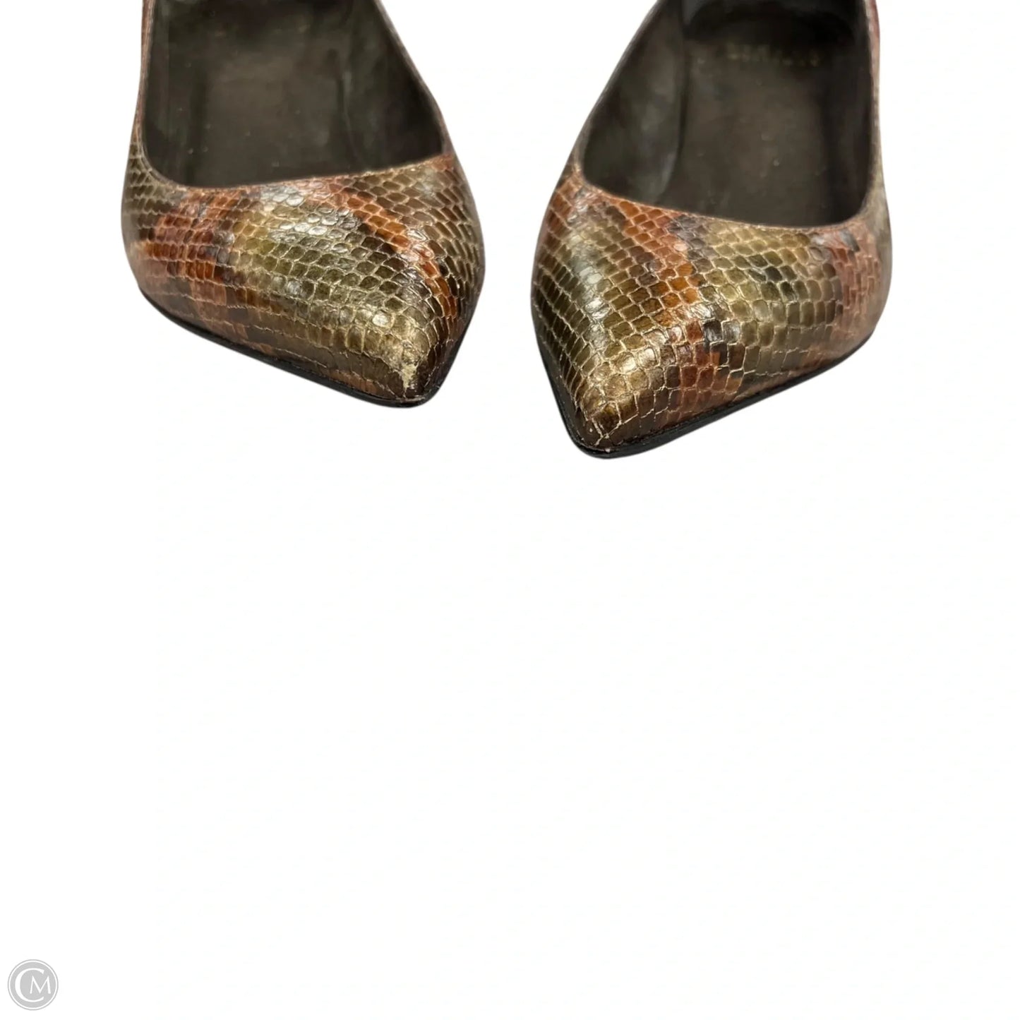 Shoes Designer By Stuart Weitzman In Snakeskin Print, Size: 5.5