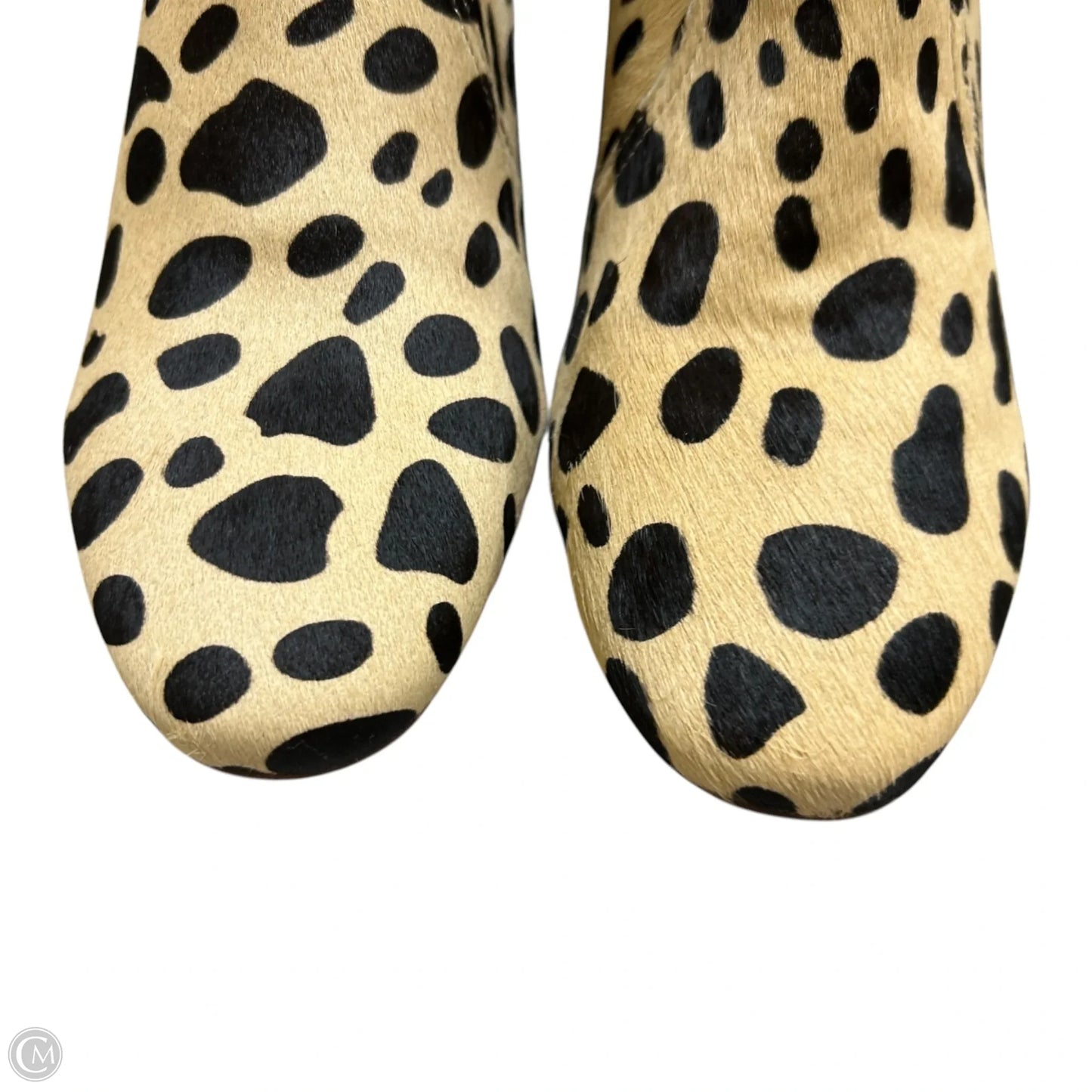 Boots Ankle Heels By Matisse In Animal Print, Size: 8