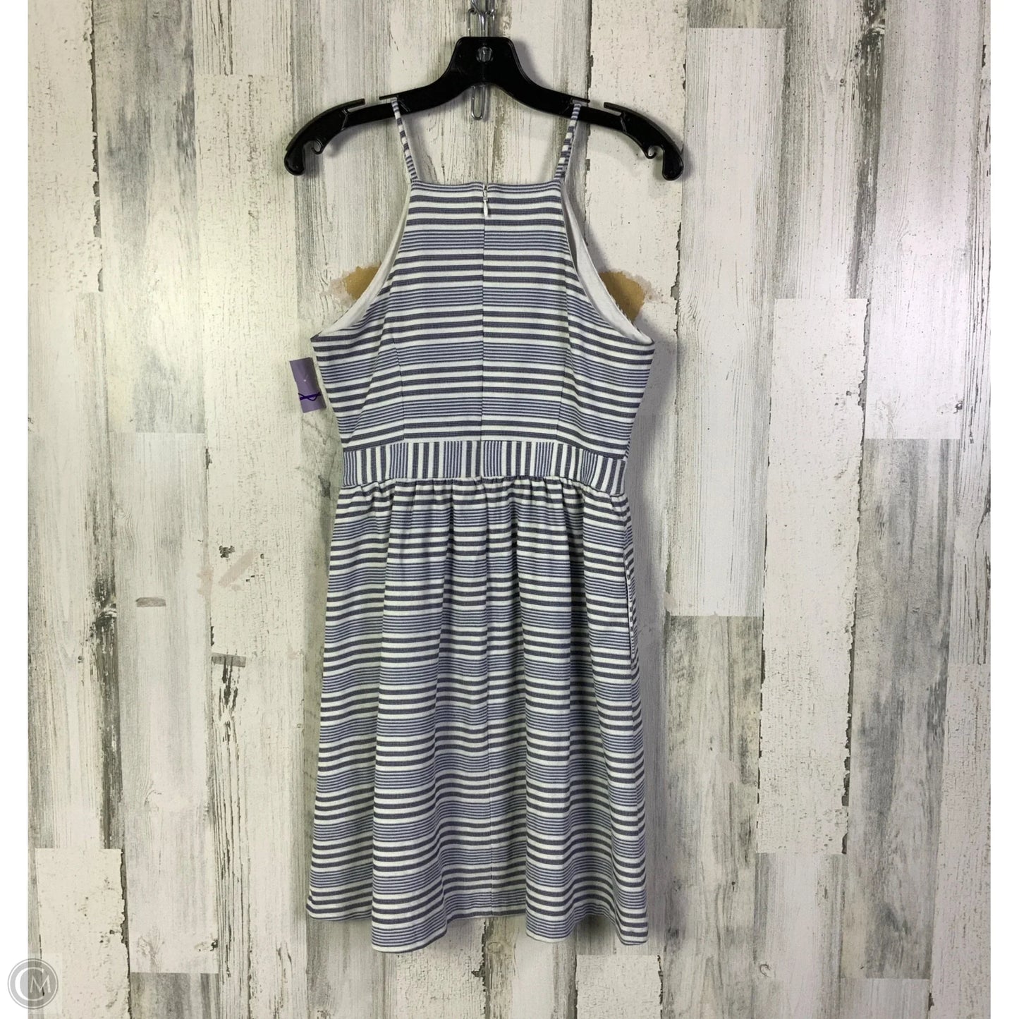 Dress Casual Short By Banana Republic In Blue & White, Size: S