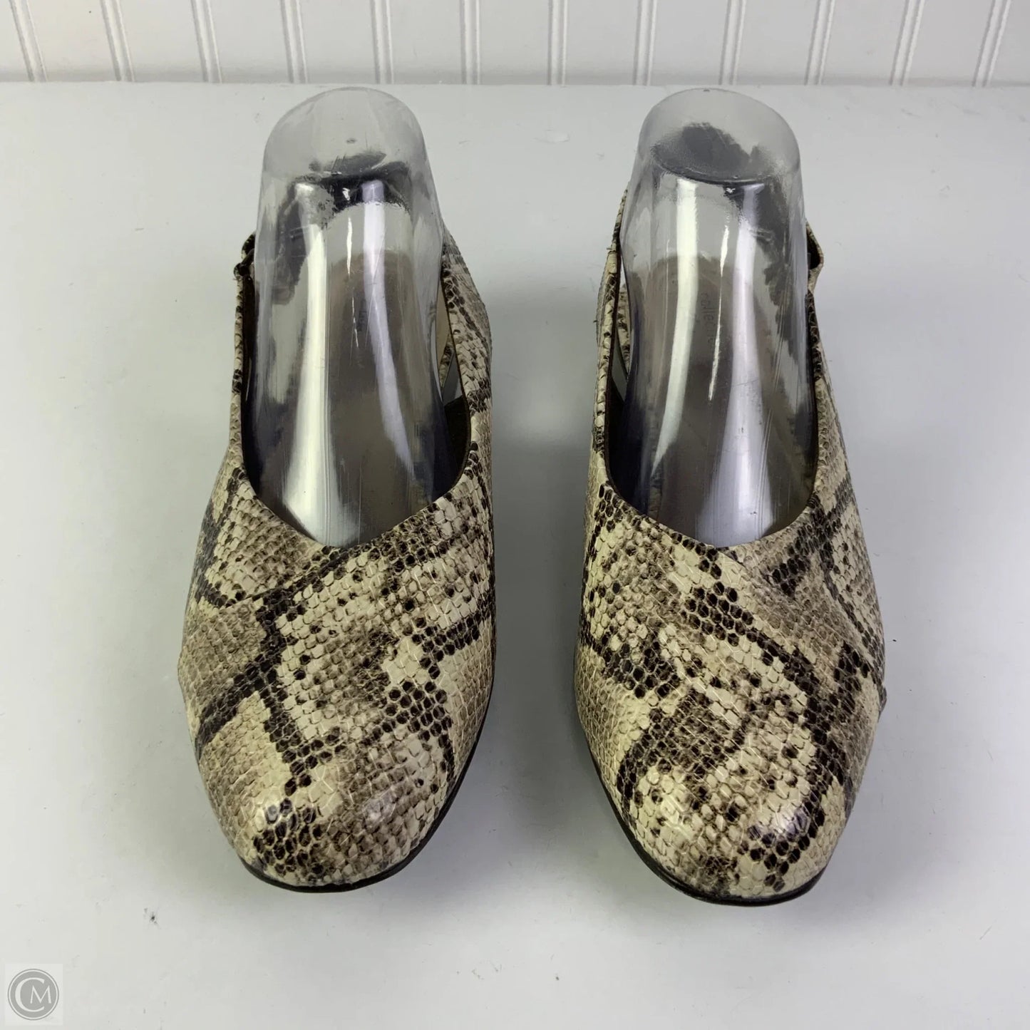 Shoes Flats By Clarks In Snakeskin Print, Size: 10