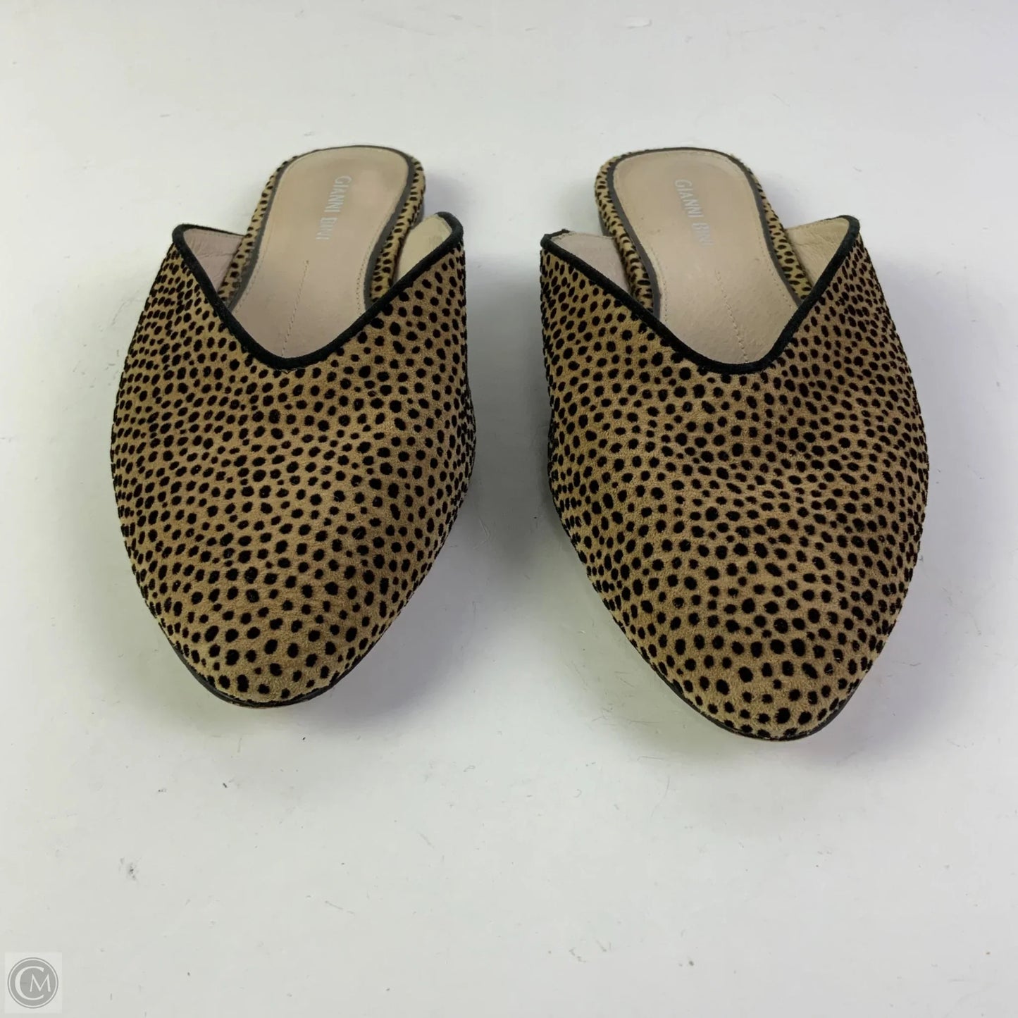 Shoes Flats By Gianni Bini In Animal Print, Size: 7
